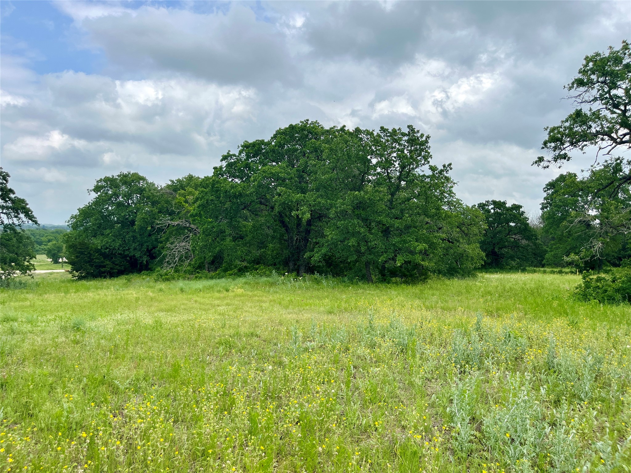 Lot 13 Arlow Road Poolville TX 76487