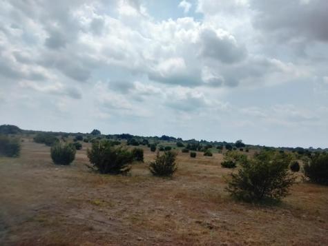 520 Hollow Drive Lipan TX 76433