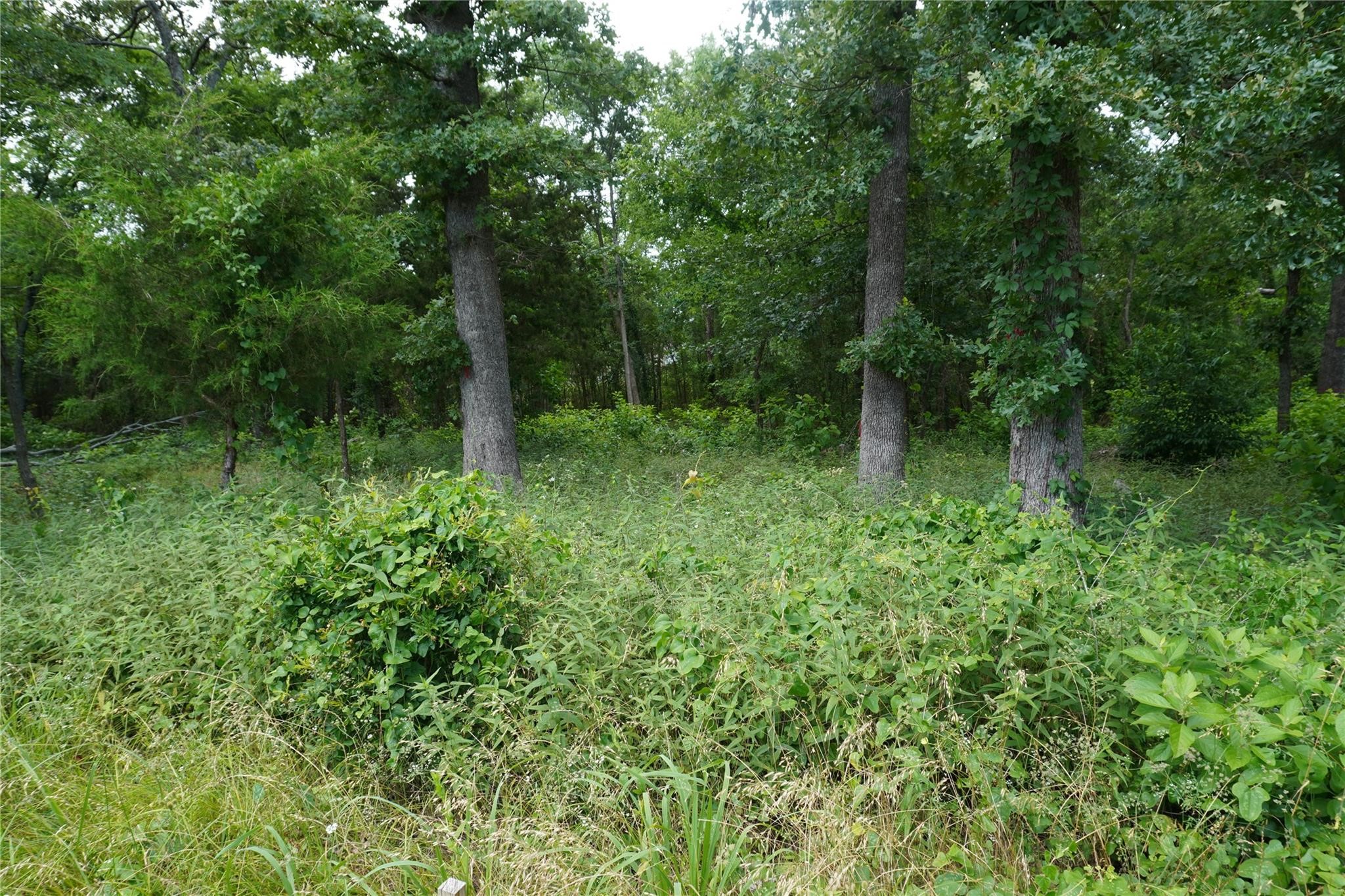 Lot 37 Nicklaus Drive Sulphur Springs TX 75482