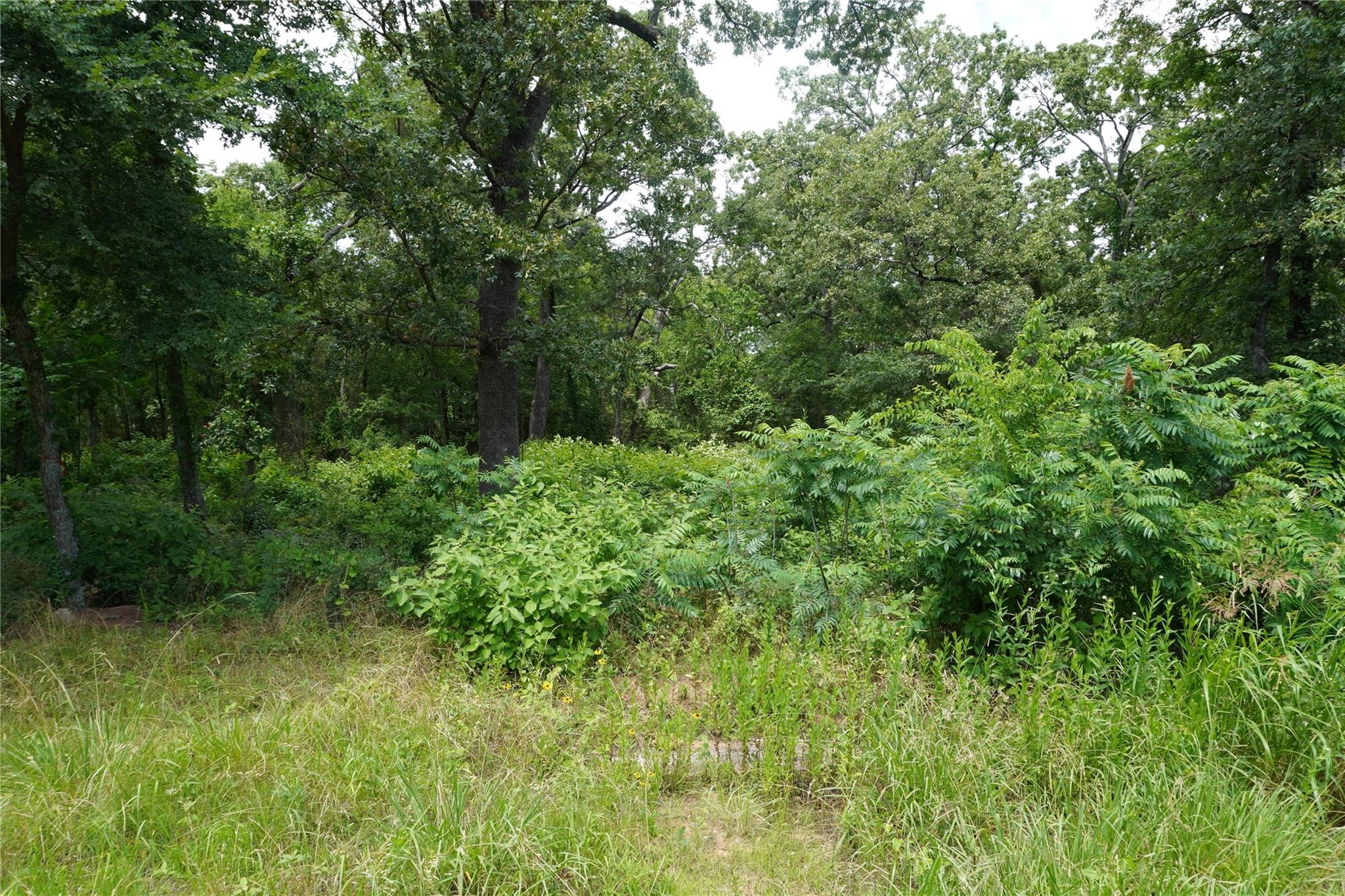 Lot 37 Nicklaus Drive Sulphur Springs TX 75482