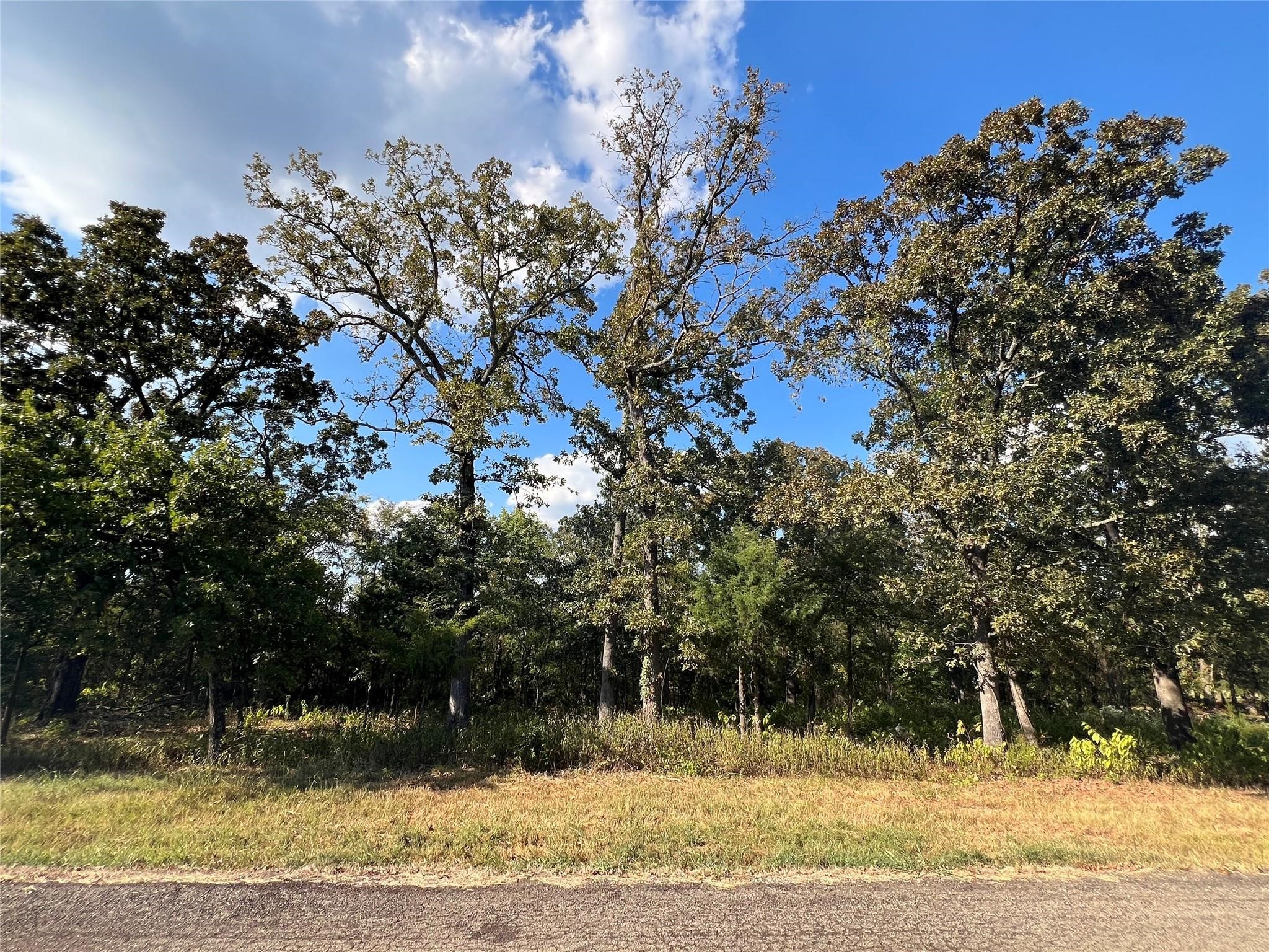 Lot 37 Nicklaus Drive Sulphur Springs TX 75482