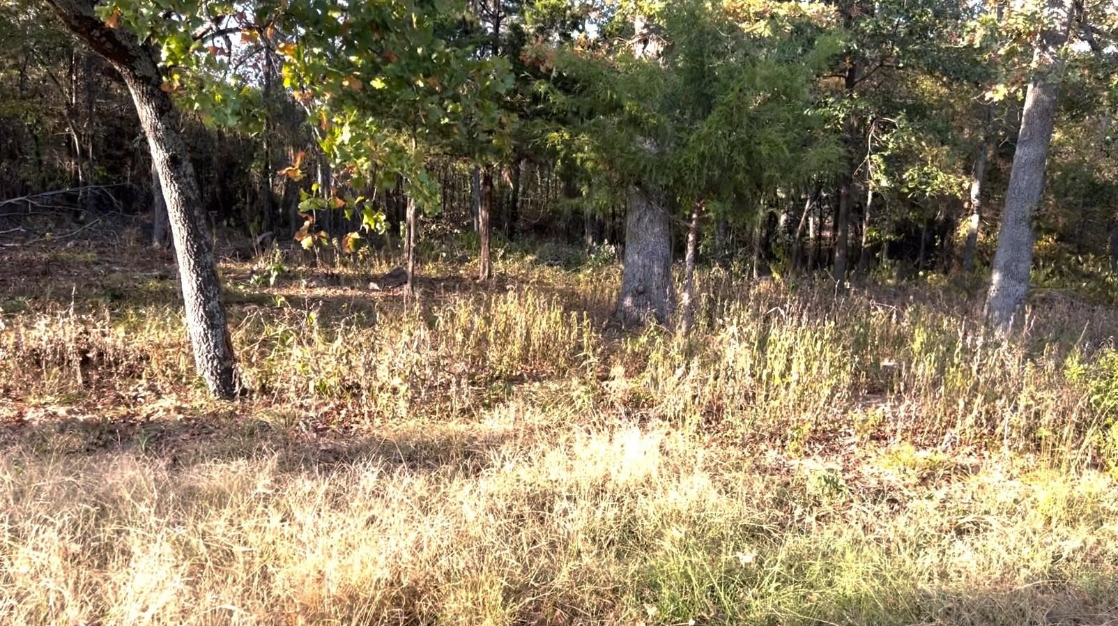 Lot 37 Nicklaus Drive Sulphur Springs TX 75482