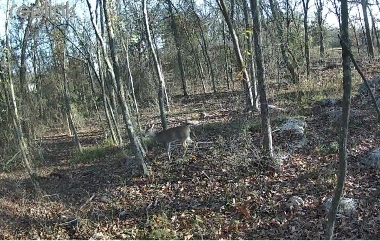 Lot 37 Nicklaus Drive Sulphur Springs TX 75482