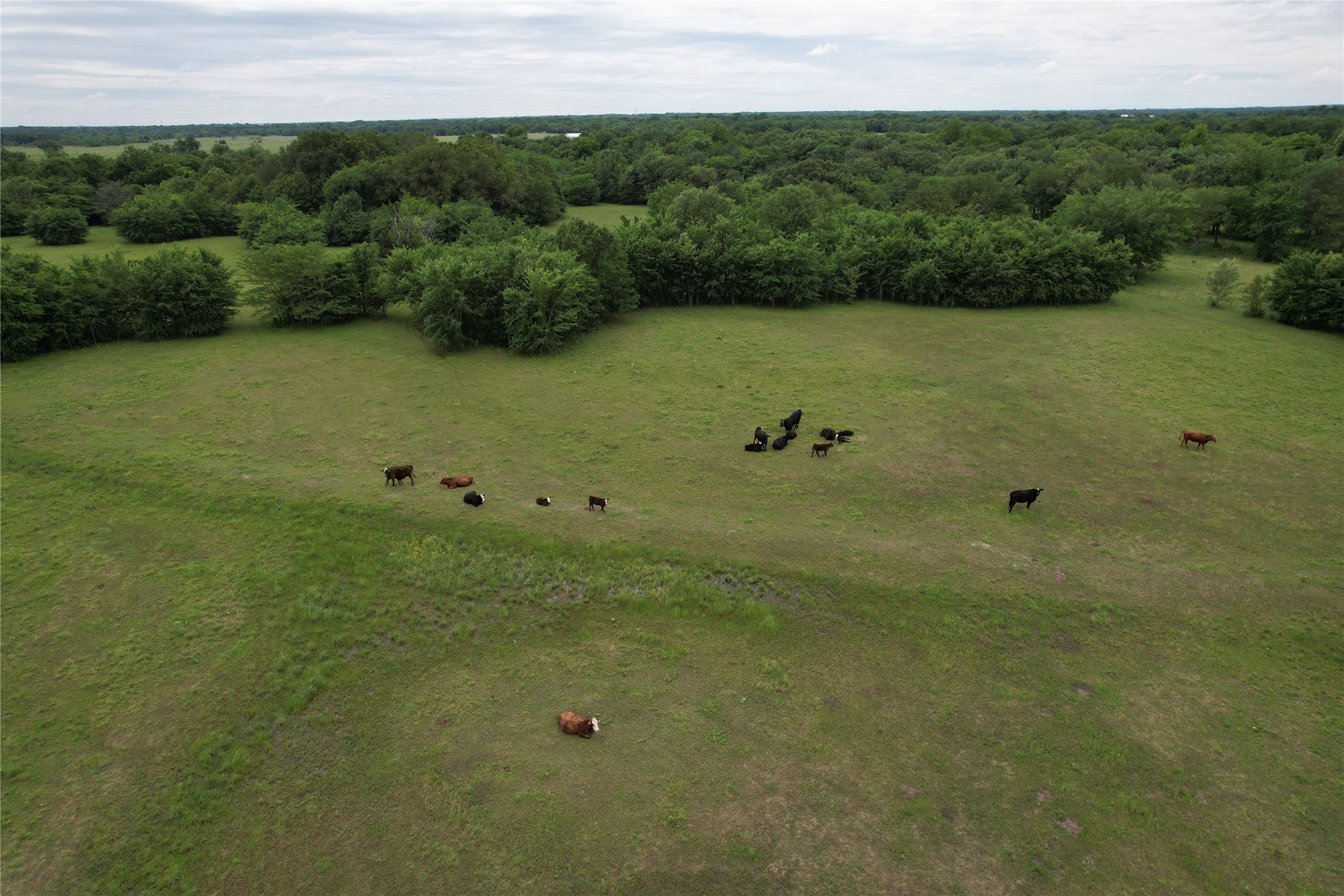 829 Farm Road 71 W Sulphur Springs TX 75482