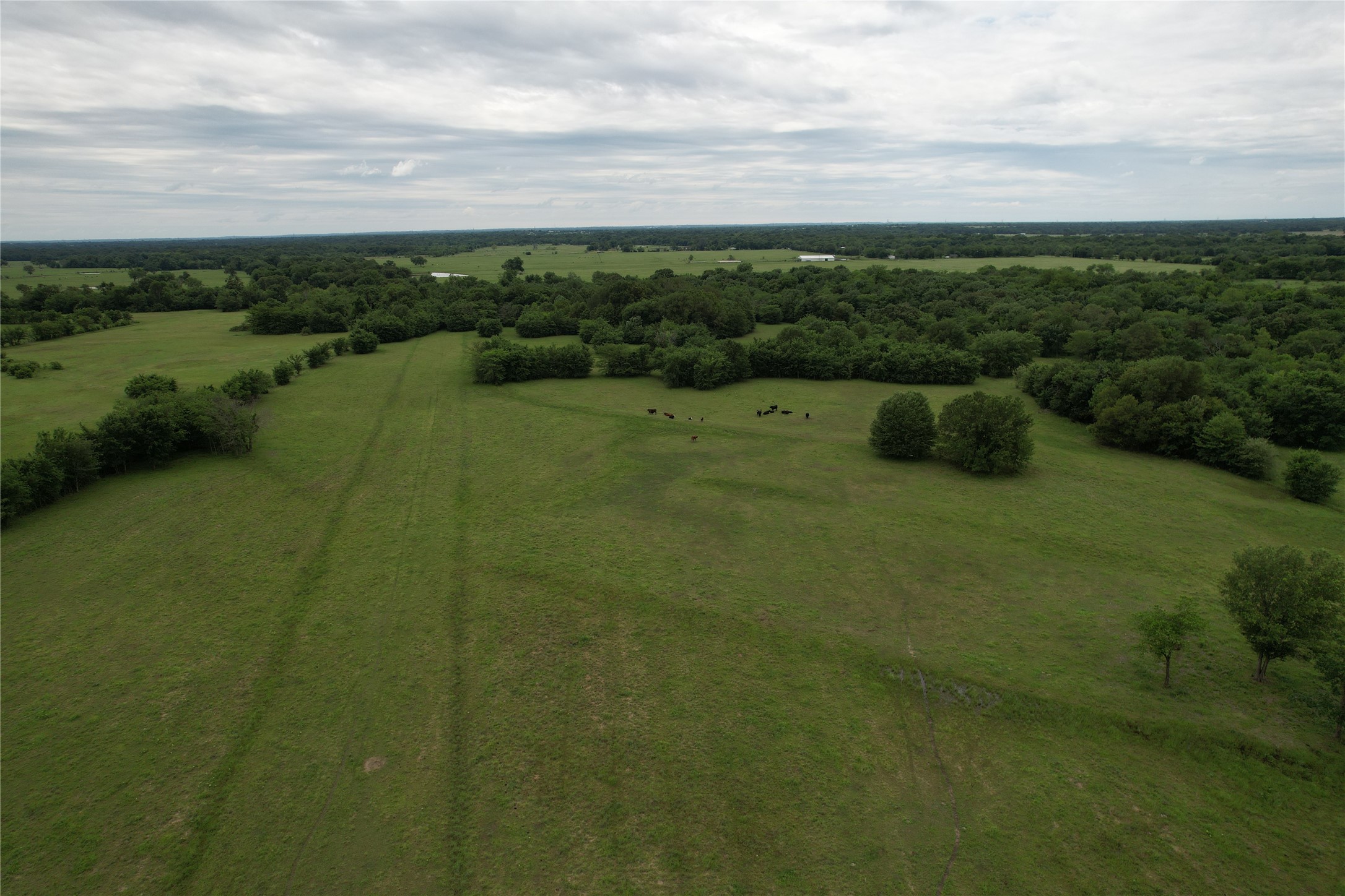 829 Farm Road 71 W Sulphur Springs TX 75482