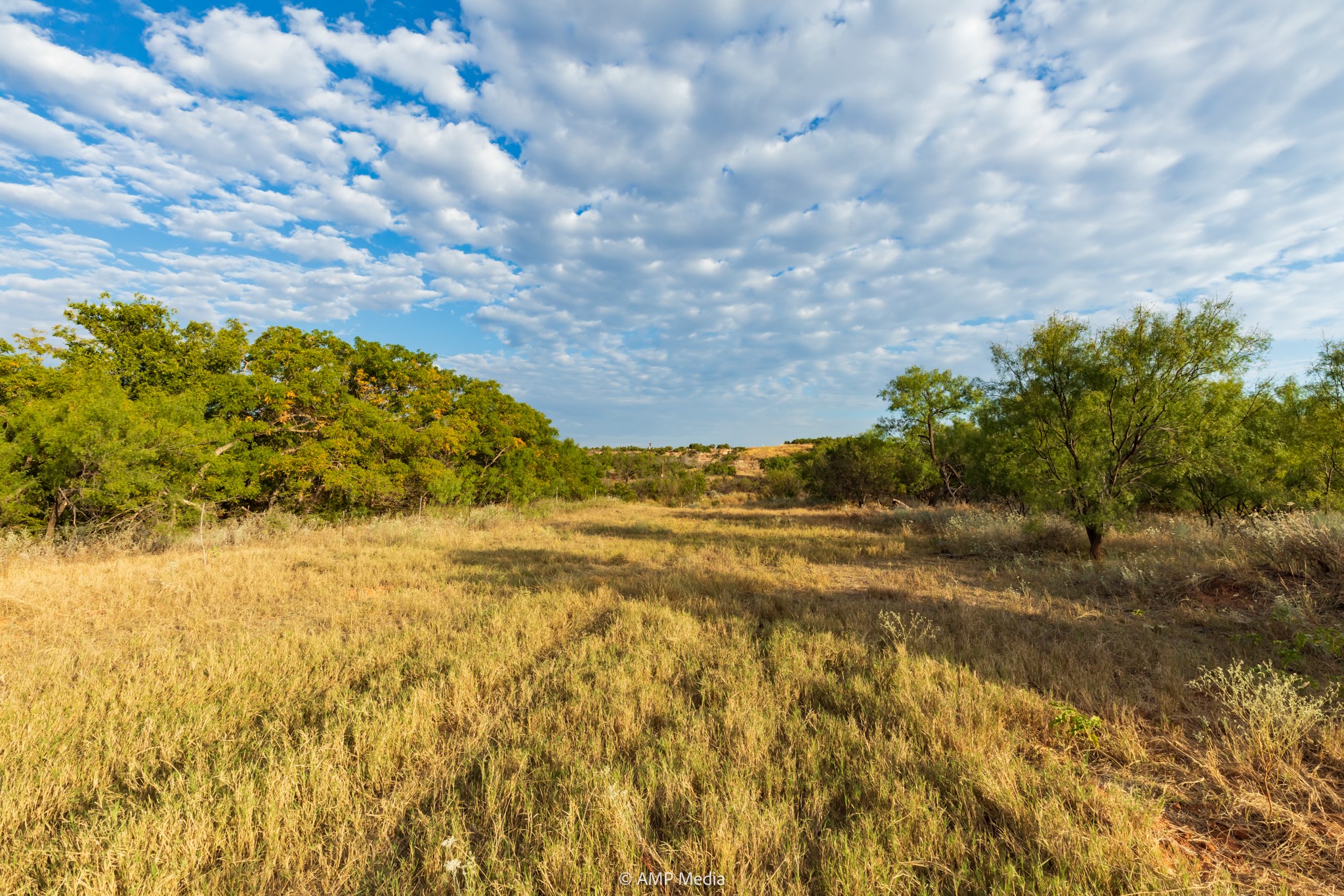 Tbd Cr 107 Aspermont TX 79502
