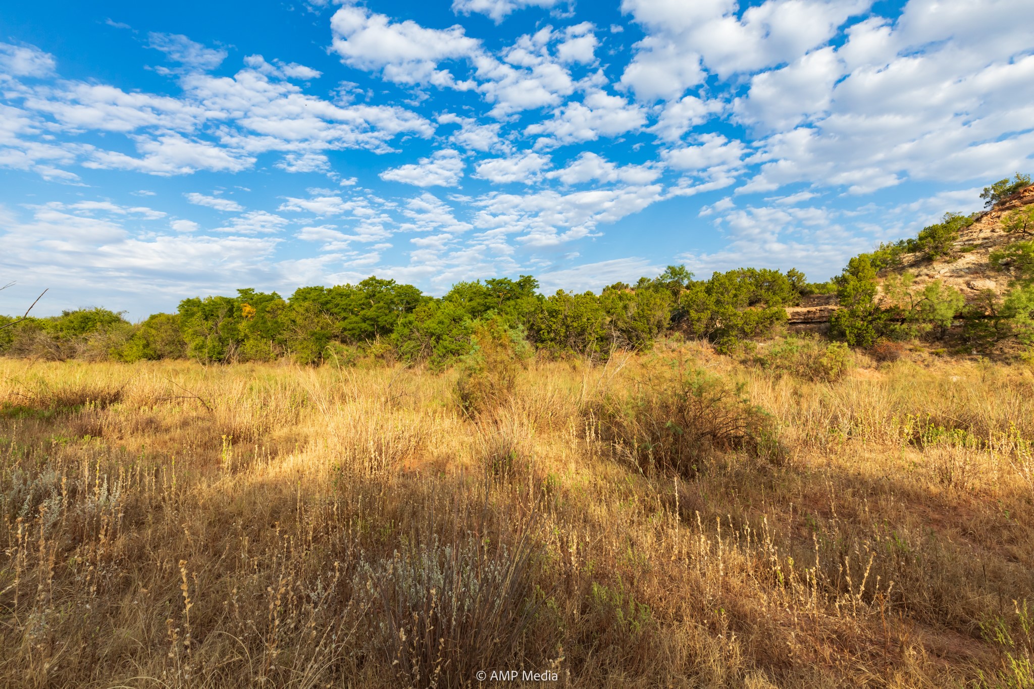 Tbd Cr 107 Aspermont TX 79502
