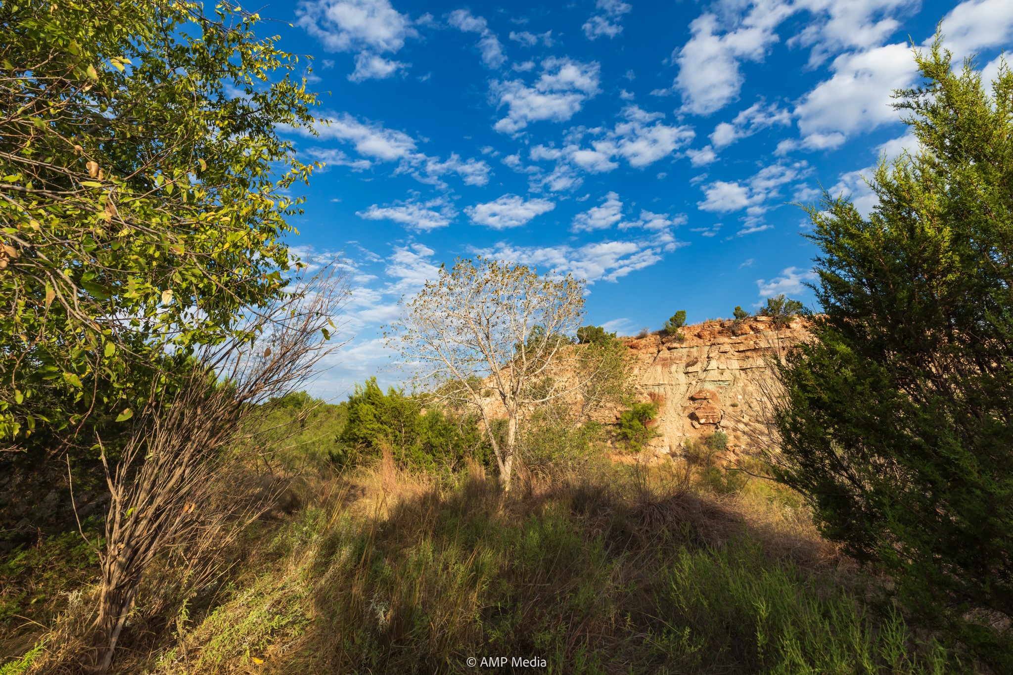Tbd Cr 107 Aspermont TX 79502