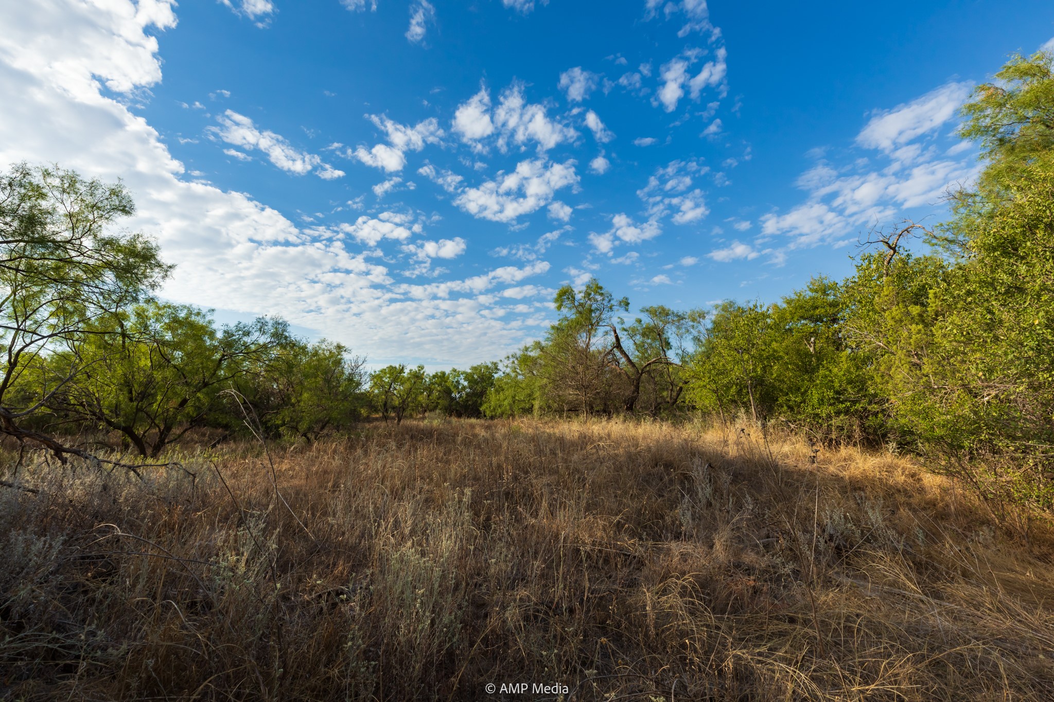 Tbd Cr 107 Aspermont TX 79502