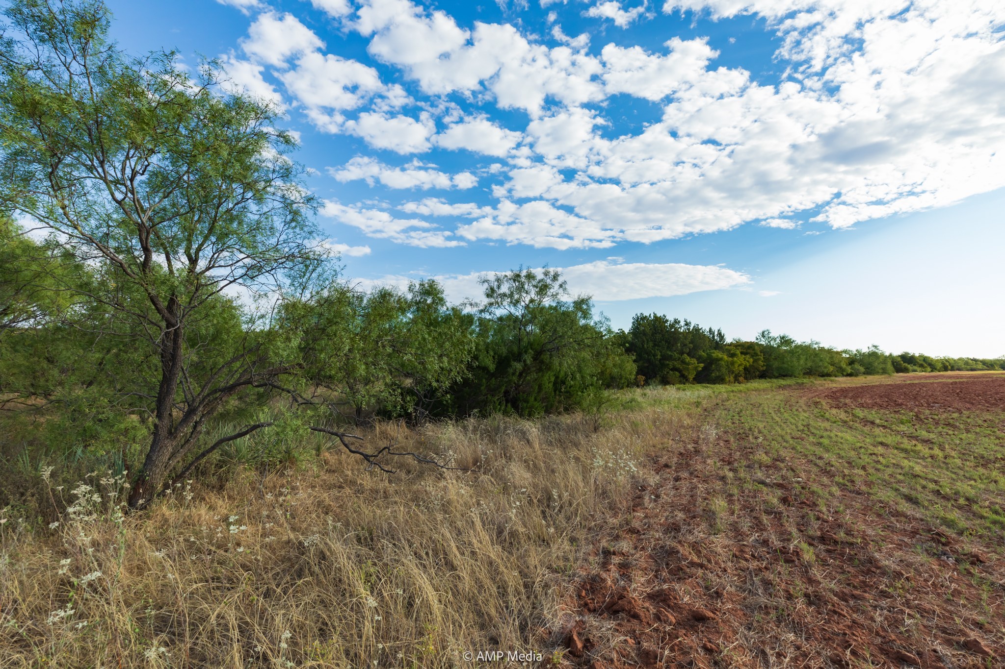 Tbd Cr 107 Aspermont TX 79502