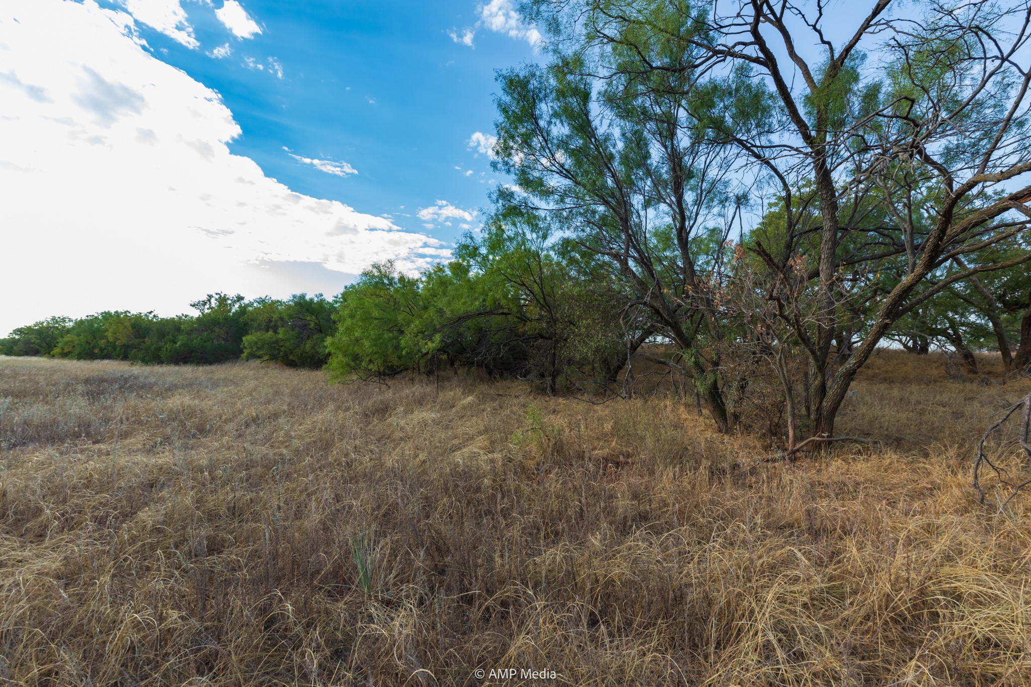 Tbd Cr 107 Aspermont TX 79502