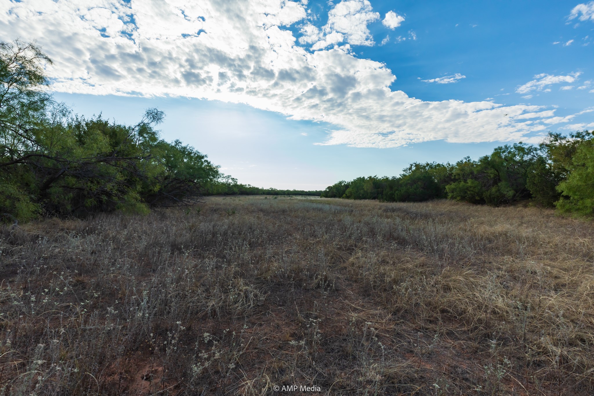 Tbd Cr 107 Aspermont TX 79502