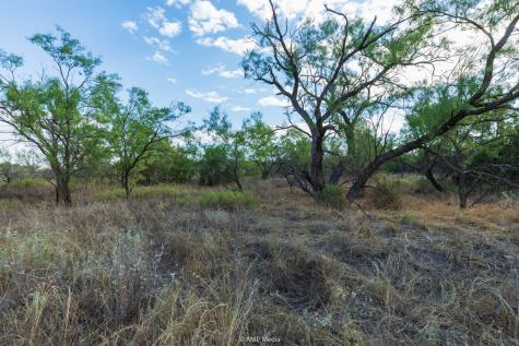 Tbd Cr 107 Aspermont TX 79502