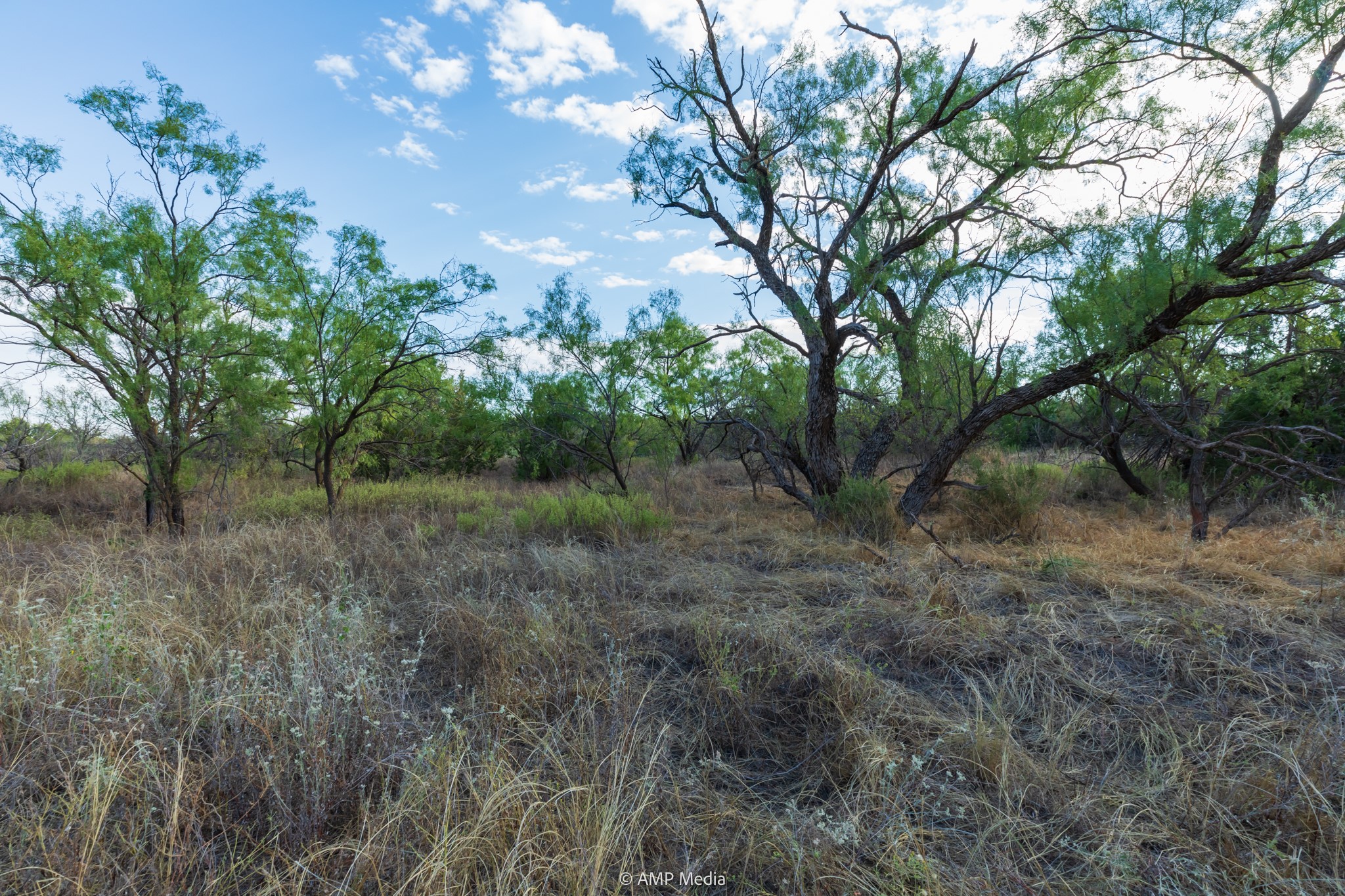 Tbd Cr 107 Aspermont TX 79502