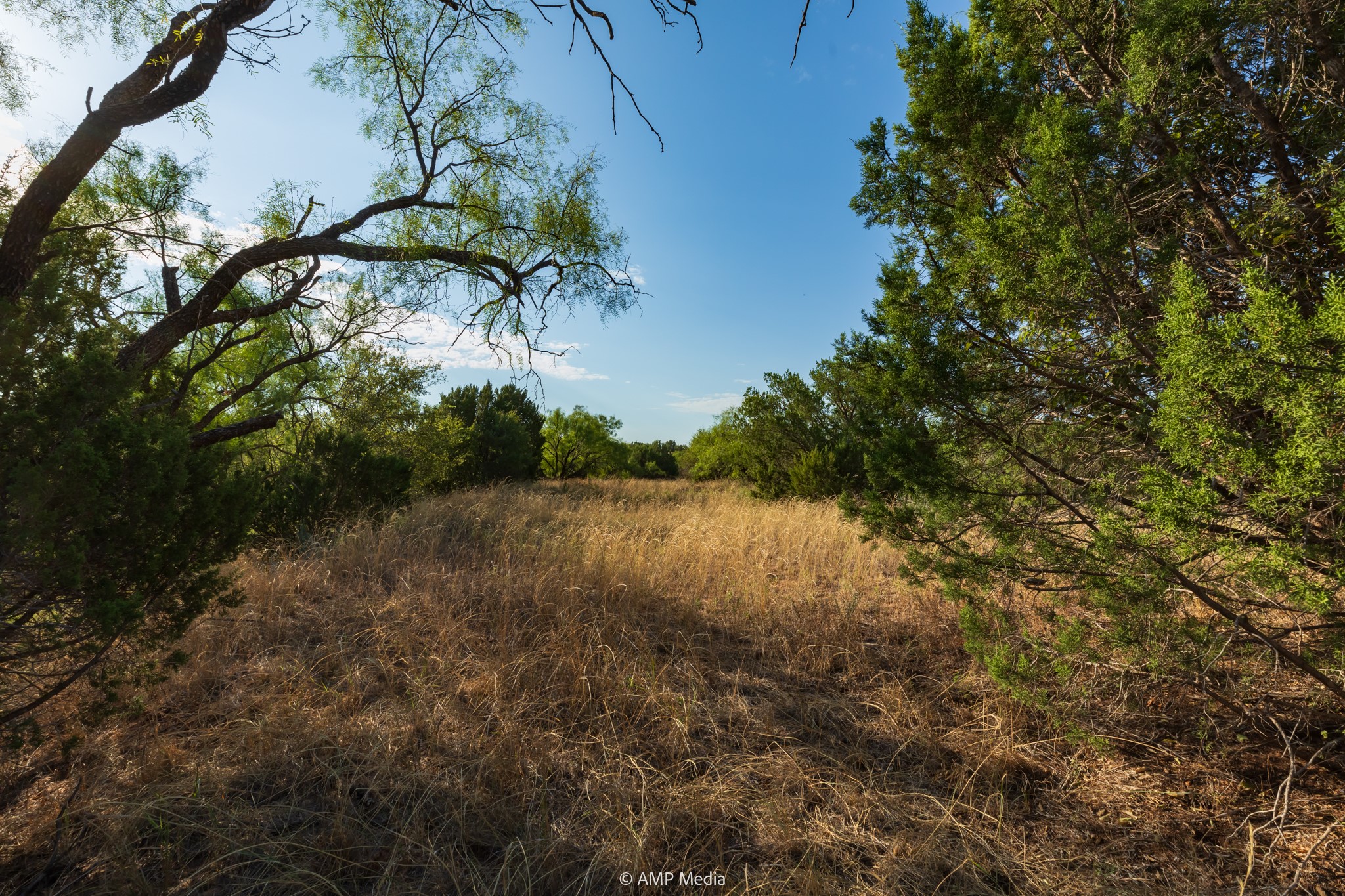 Tbd Cr 107 Aspermont TX 79502