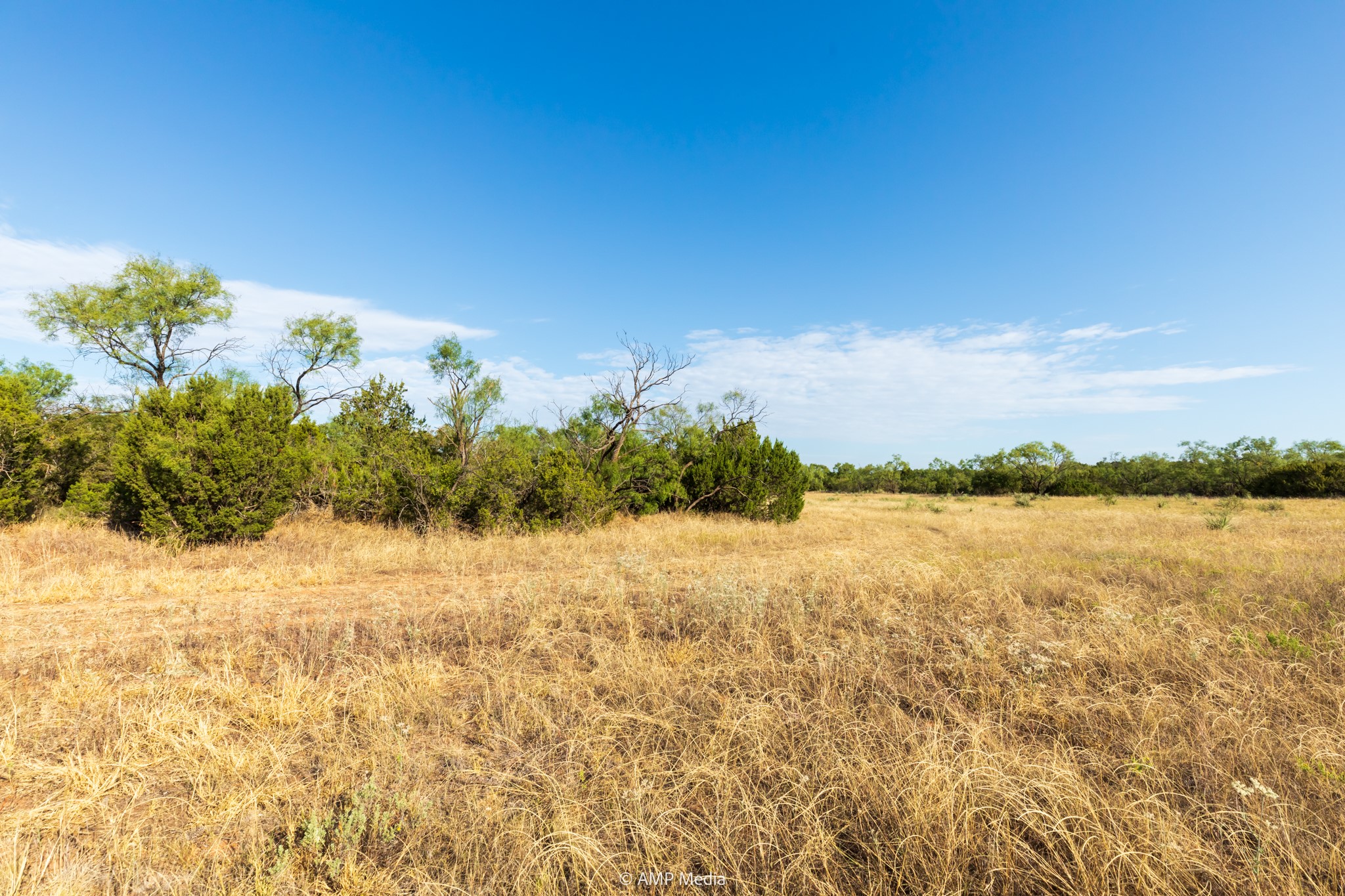 Tbd Cr 107 Aspermont TX 79502