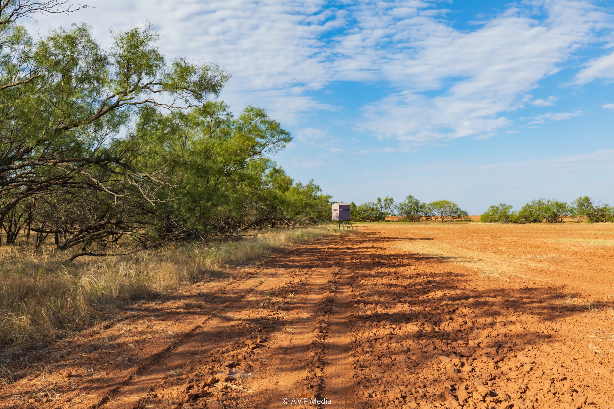 Tbd Cr 107 Aspermont TX 79502