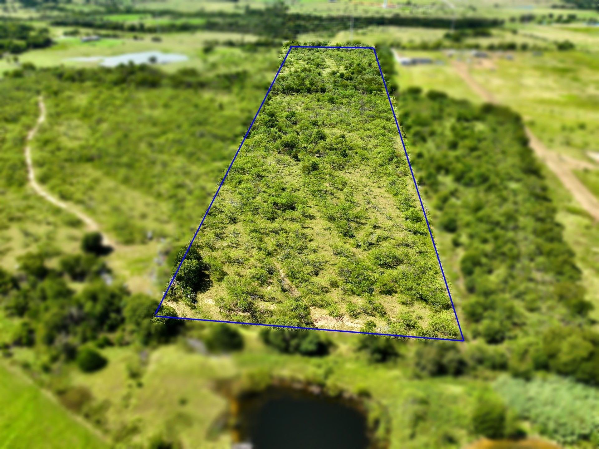 Tbd County Road 3258 Mount Calm TX 76673