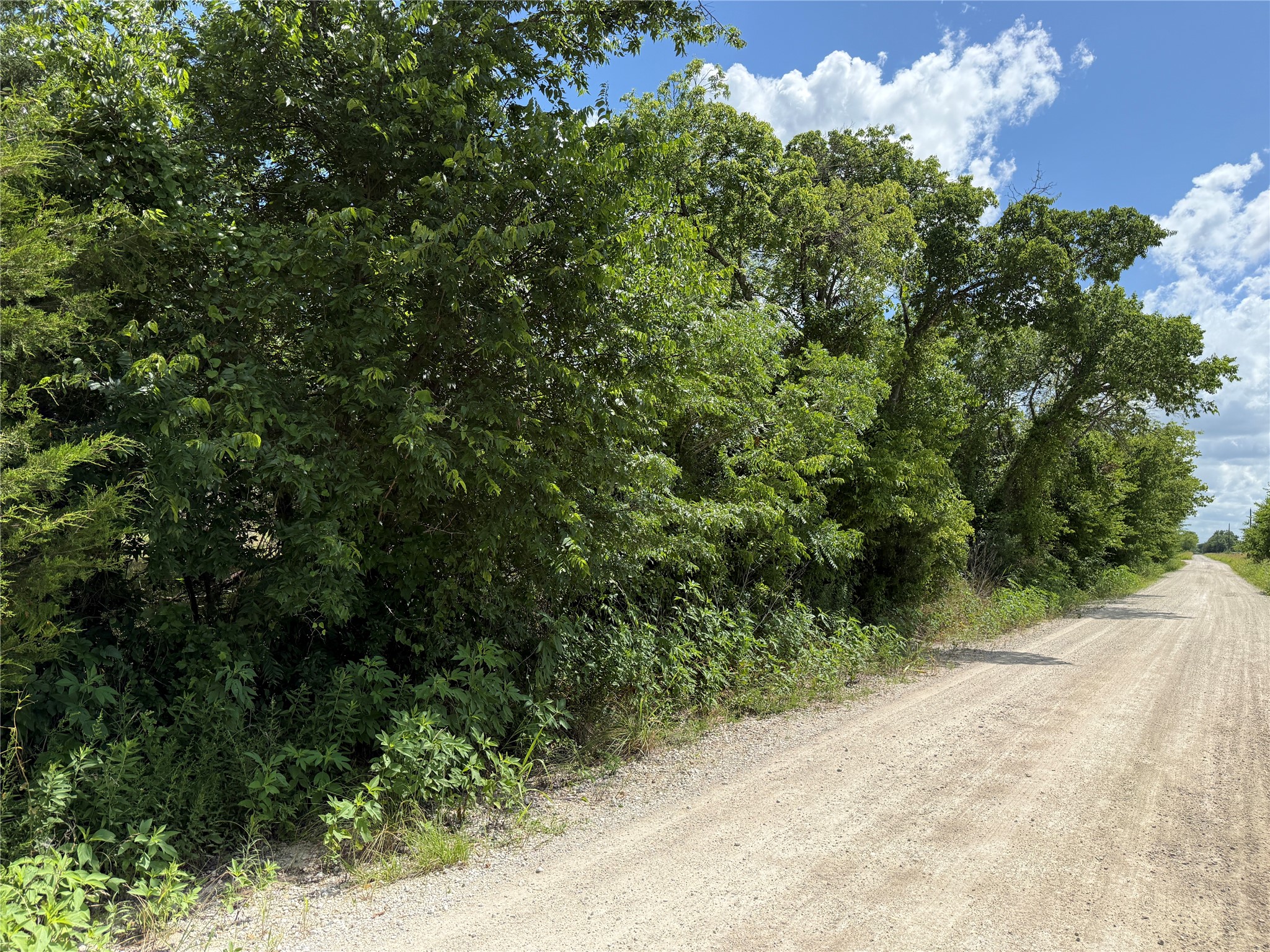 Tbd 4 Acres SW Cr 2170 Richland TX 76681