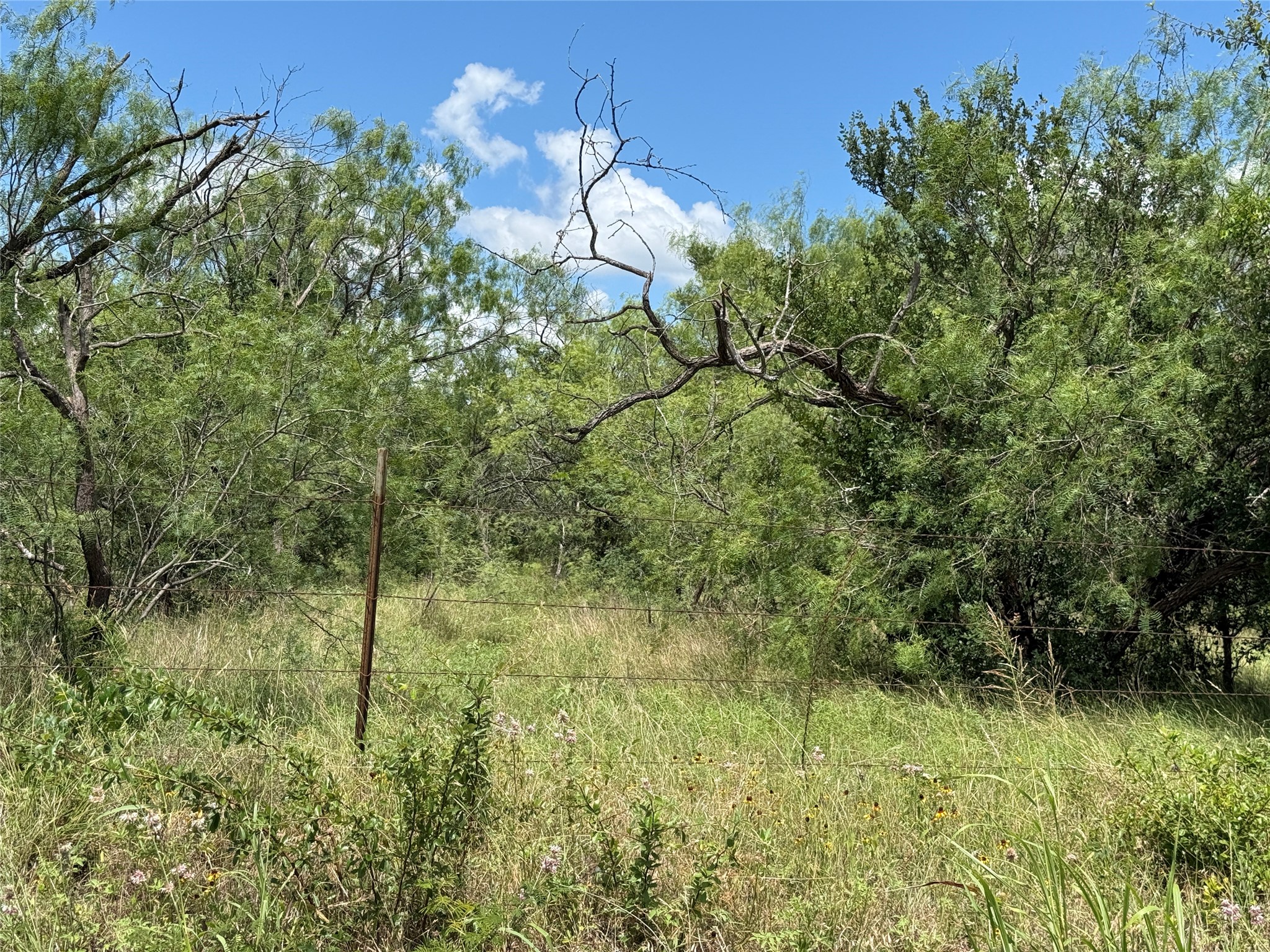 Tbd 4 Acres SW Cr 2170 Richland TX 76681