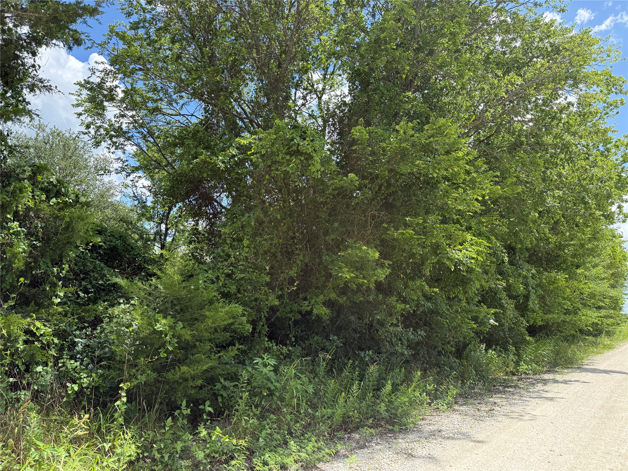 Tbd 4 Acres SW Cr 2170 Richland TX 76681
