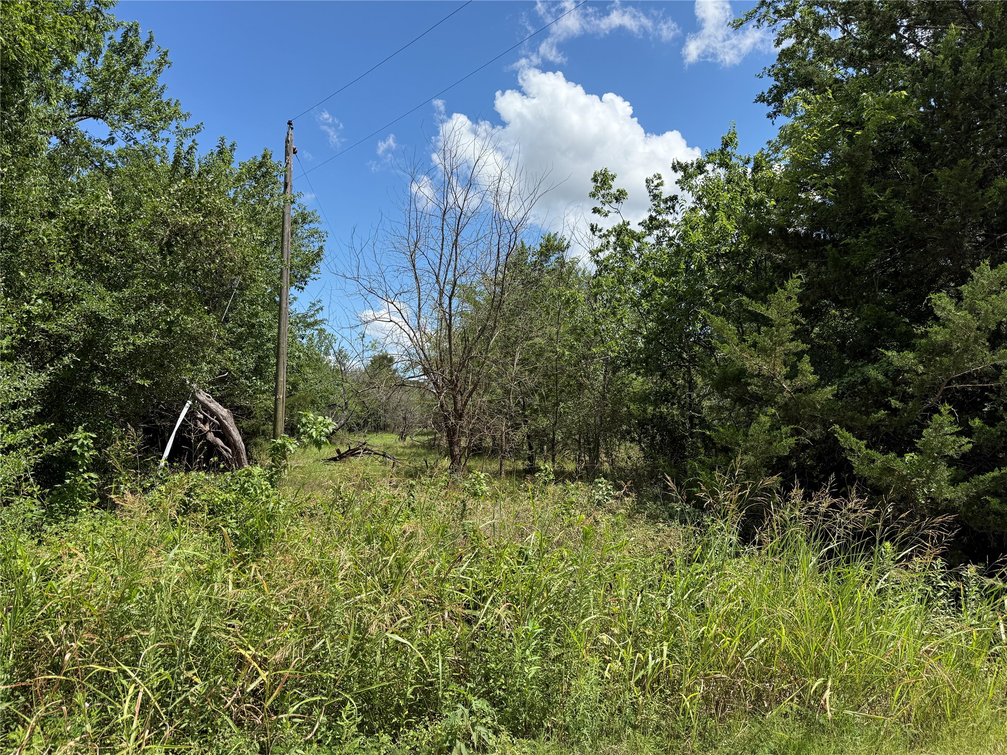 Tbd 4 Acres SW Cr 2170 Richland TX 76681