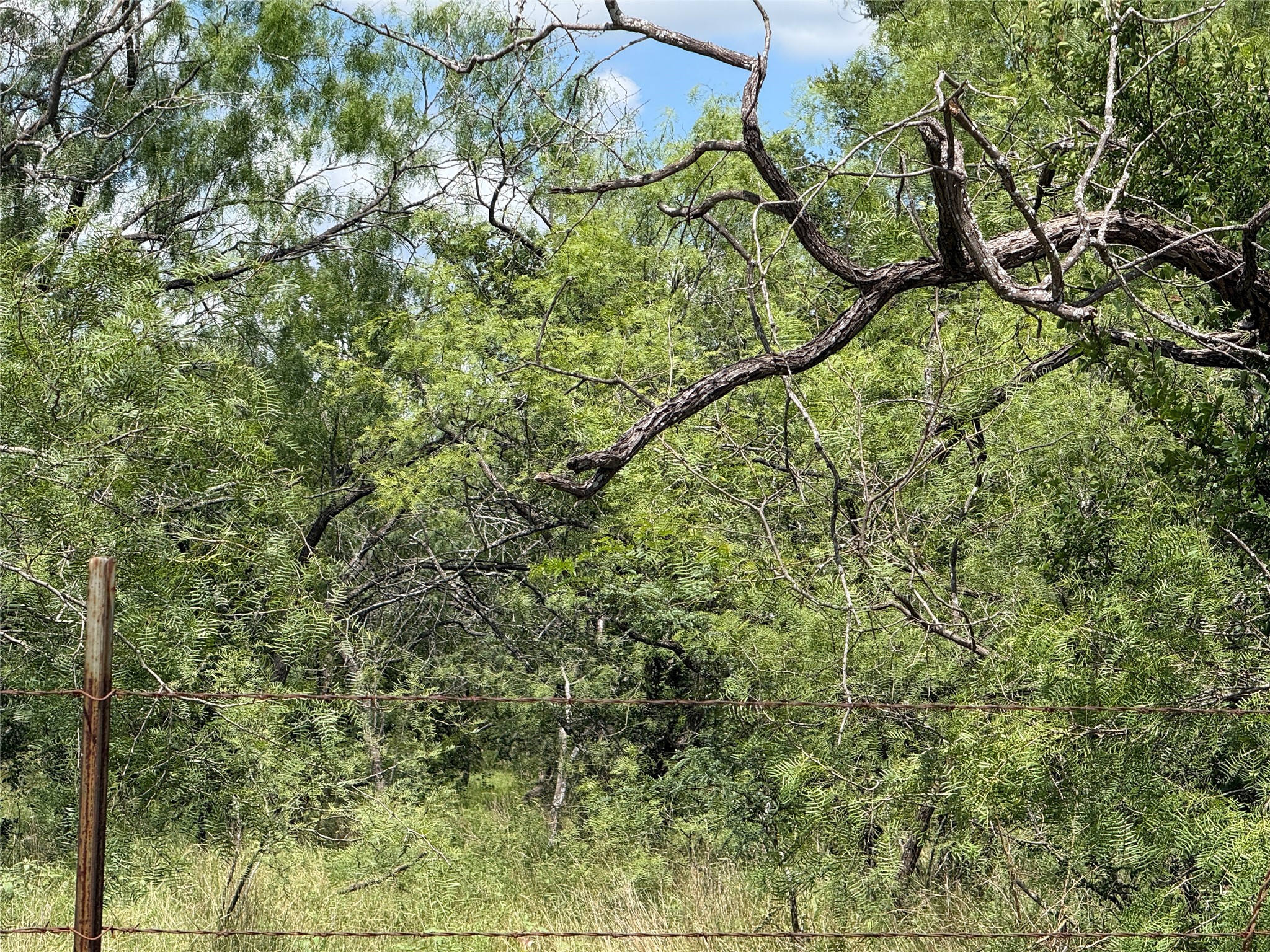 Tbd 4 Acres SW Cr 2170 Richland TX 76681