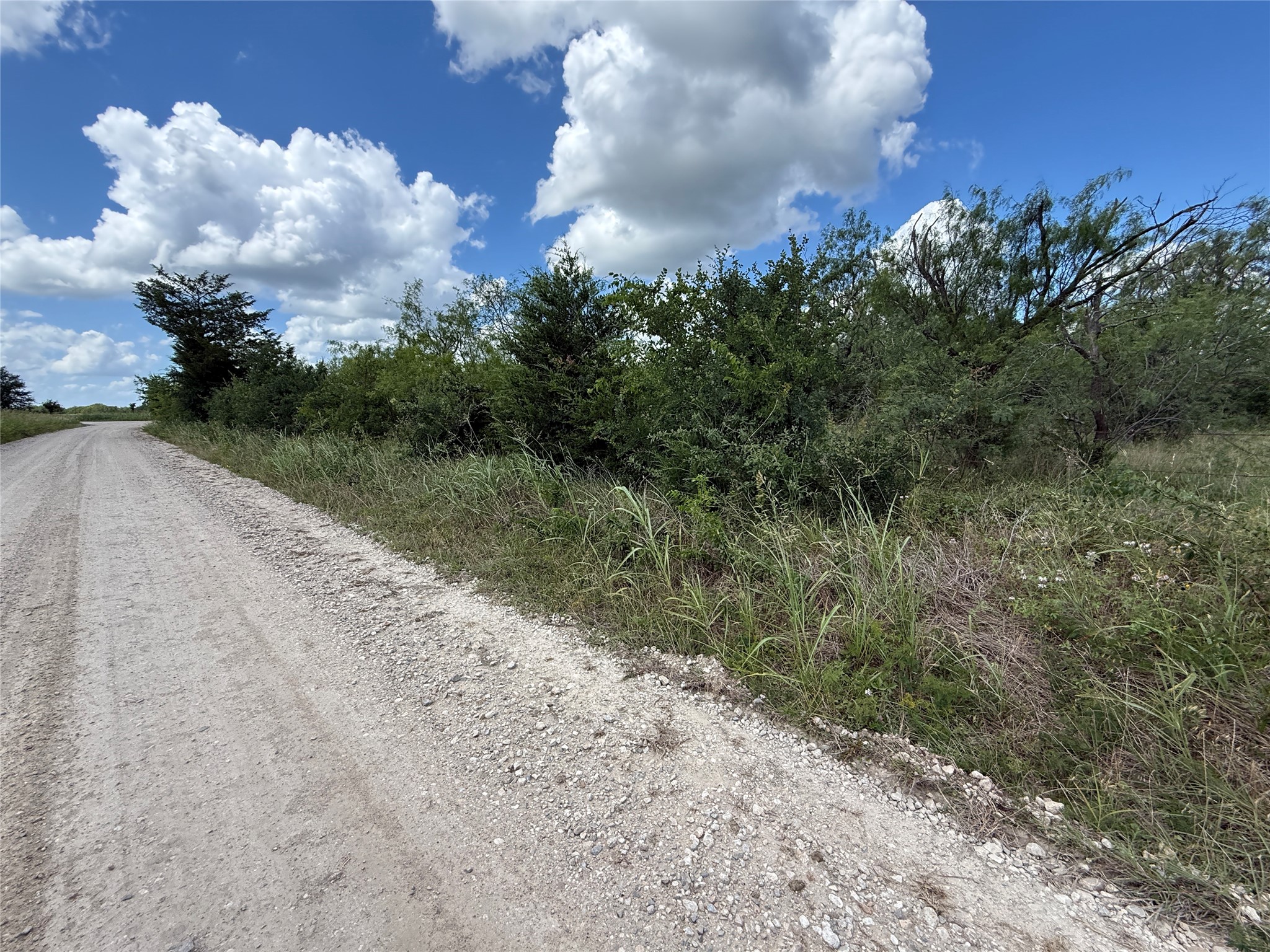 Tbd 4 Acres SW Cr 2170 Richland TX 76681