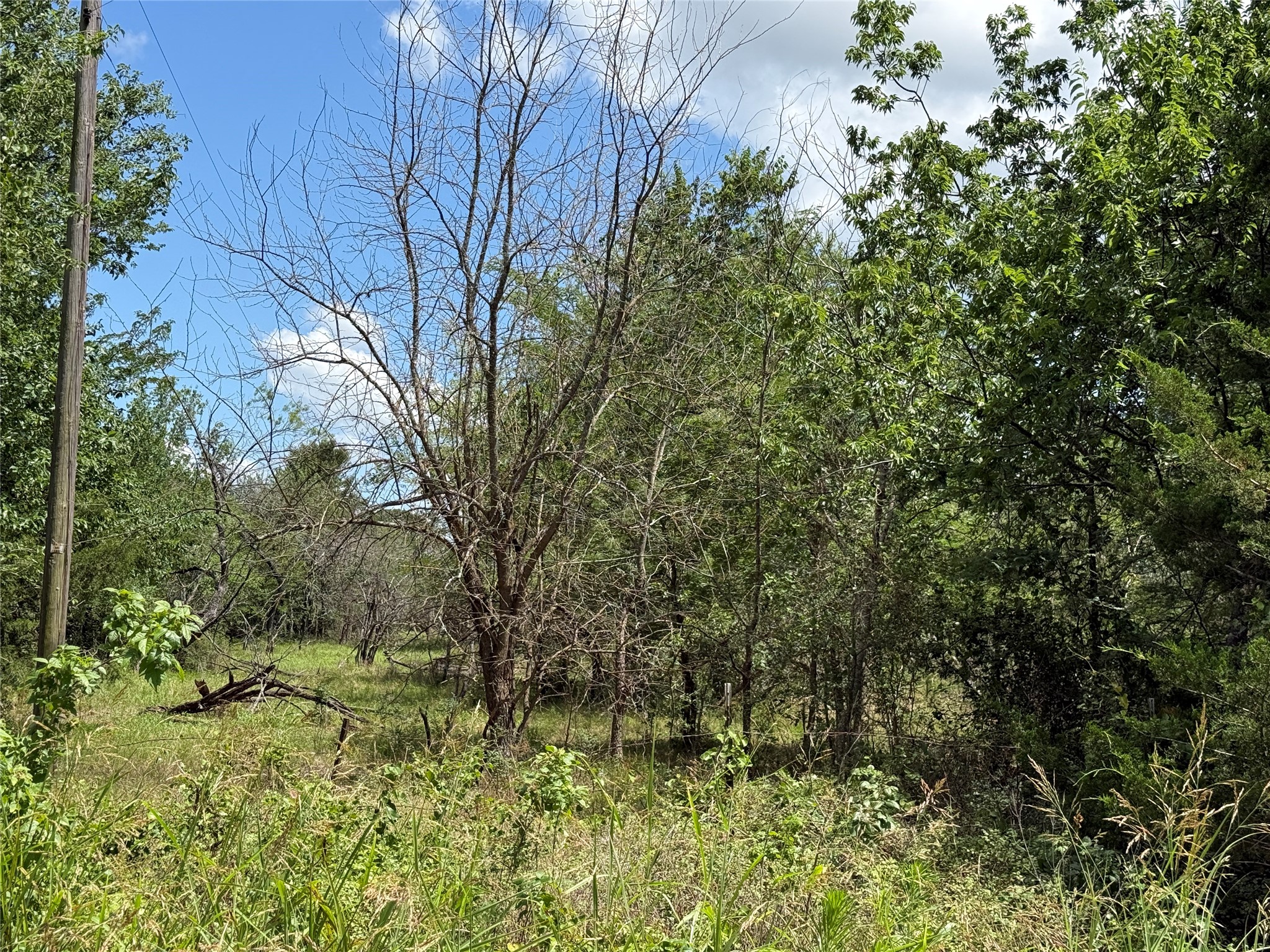 Tbd 4 Acres SW Cr 2170 Richland TX 76681