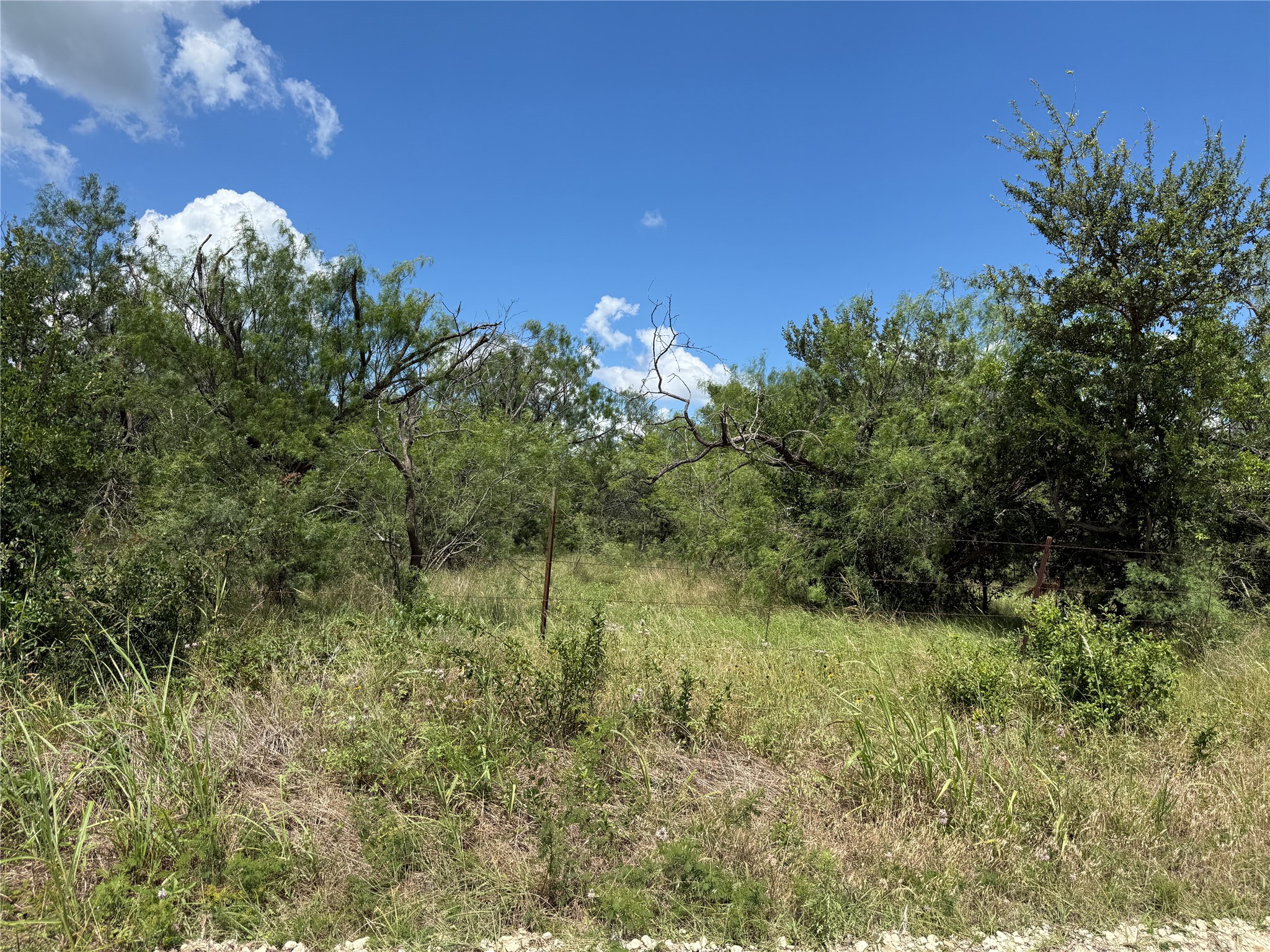 Tbd 4 Acres SW Cr 2170 Richland TX 76681