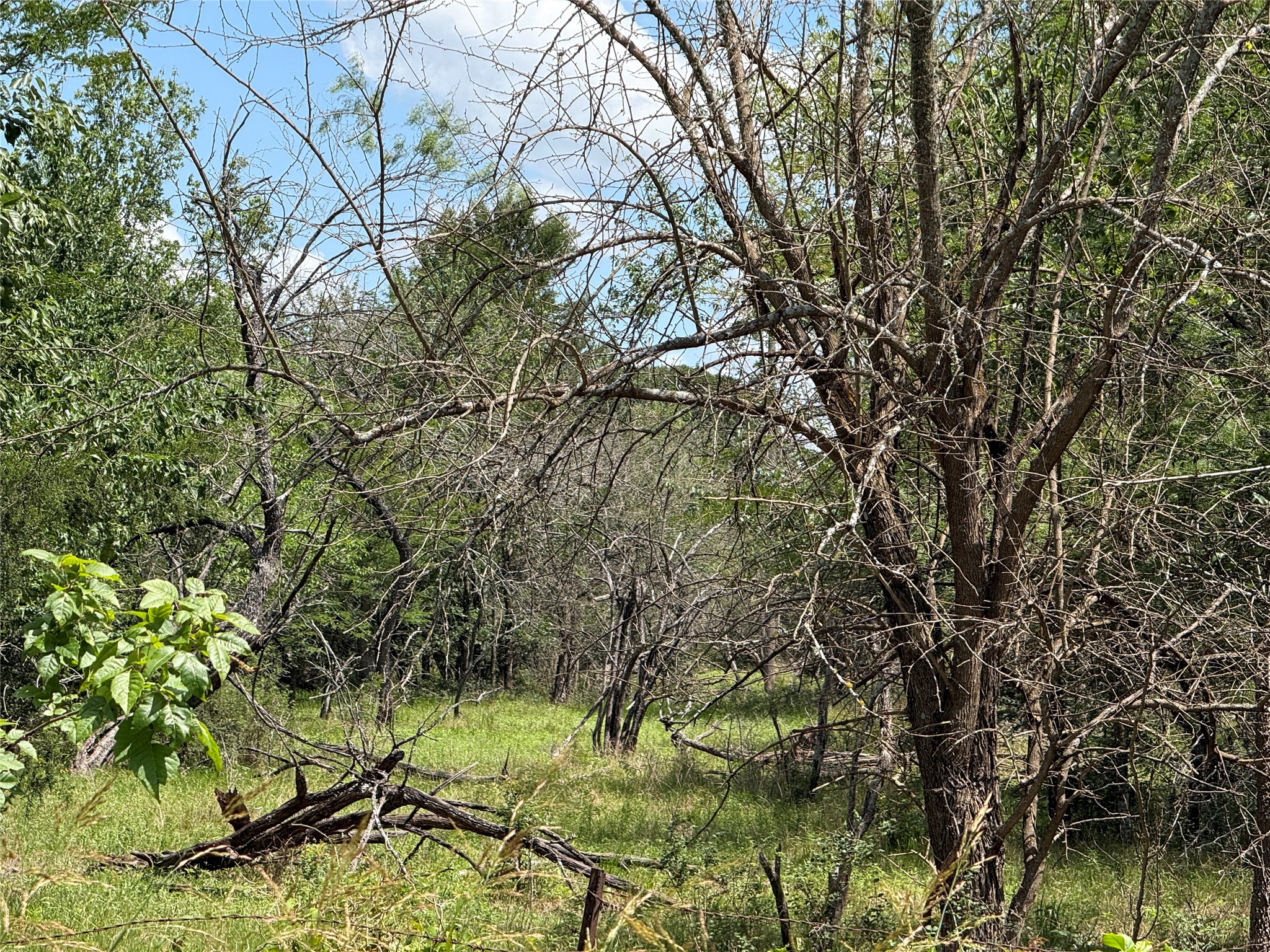 Tbd 4 Acres SW Cr 2170 Richland TX 76681