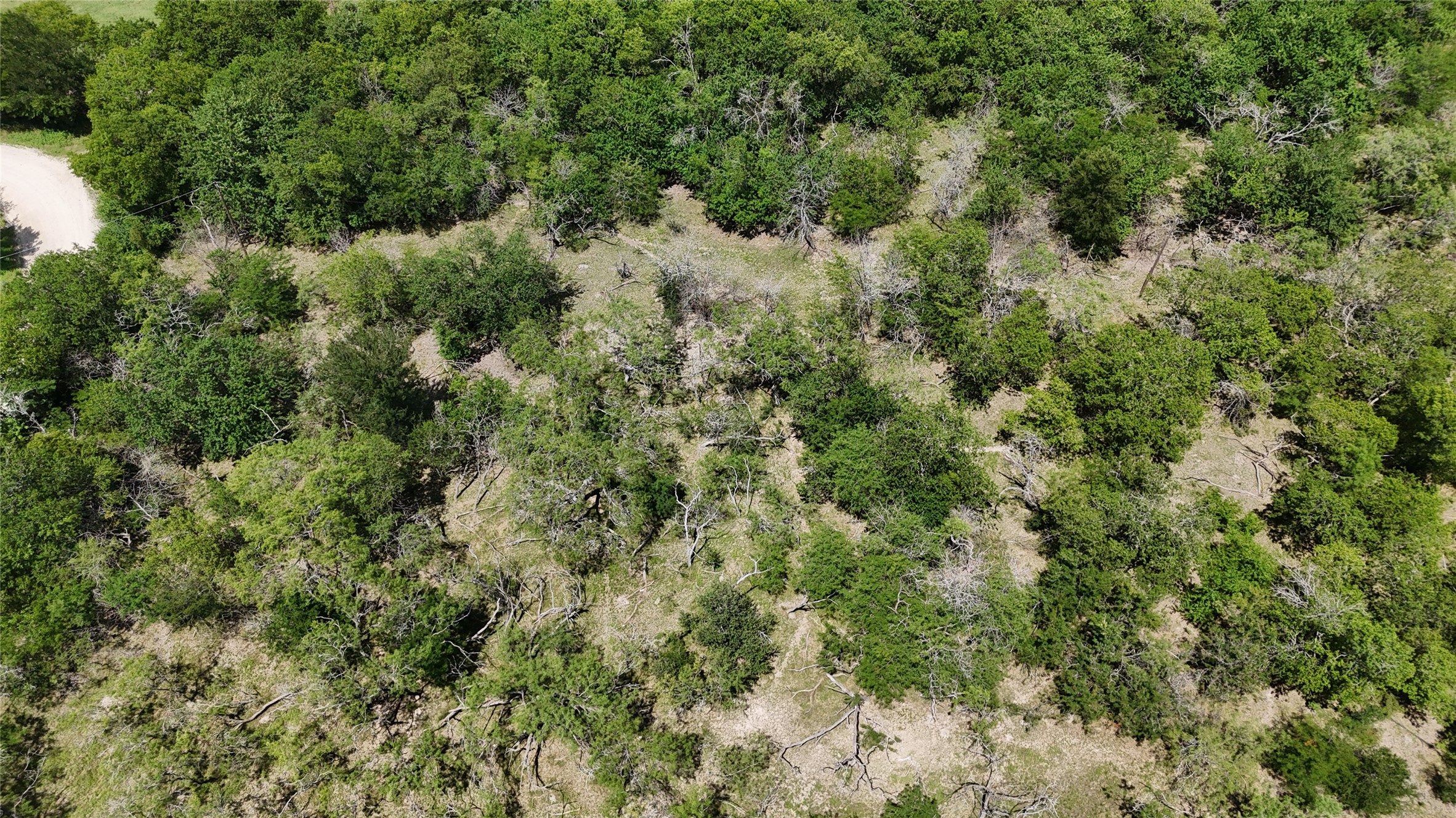 Tbd 4 Acres SW Cr 2170 Richland TX 76681