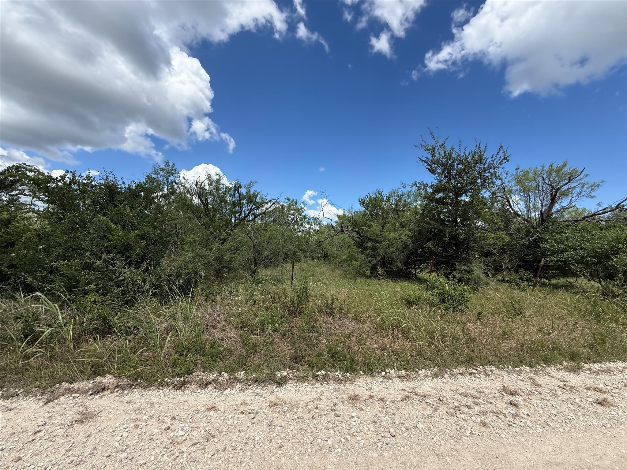 Tbd 4 Acres SW Cr 2170 Richland TX 76681