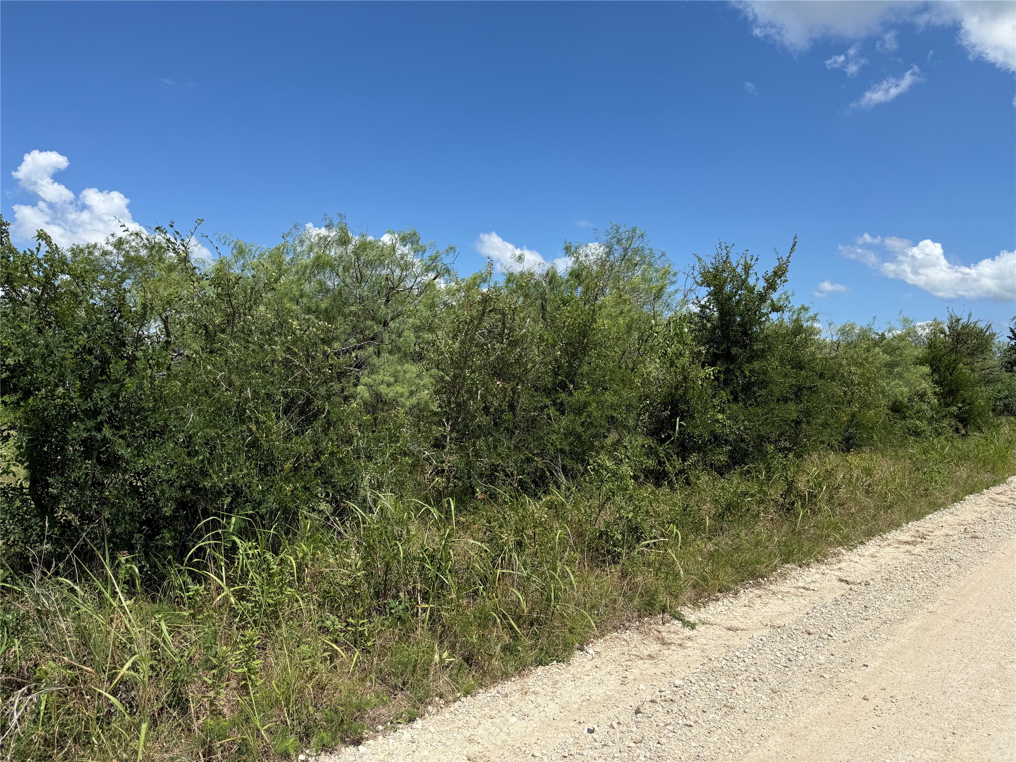 Tbd 4 Acres SW Cr 2170 Richland TX 76681