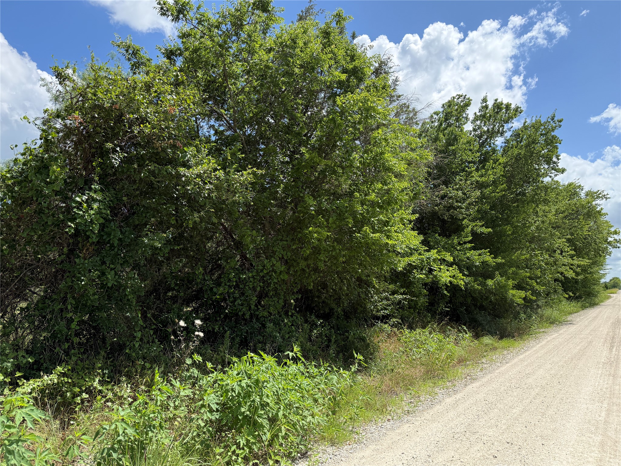 Tbd 4 Acres SW Cr 2170 Richland TX 76681