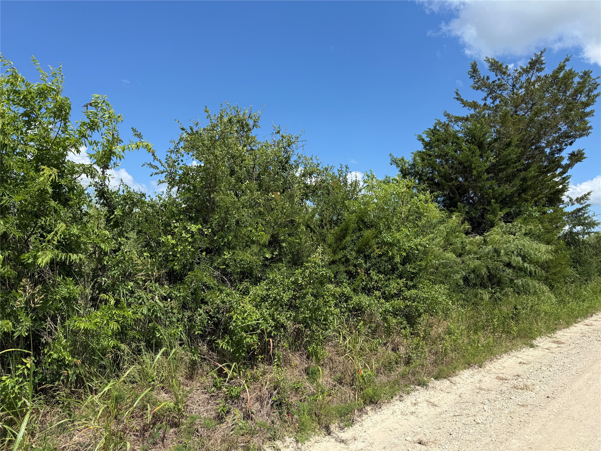 Tbd 4 Acres SW Cr 2170 Richland TX 76681