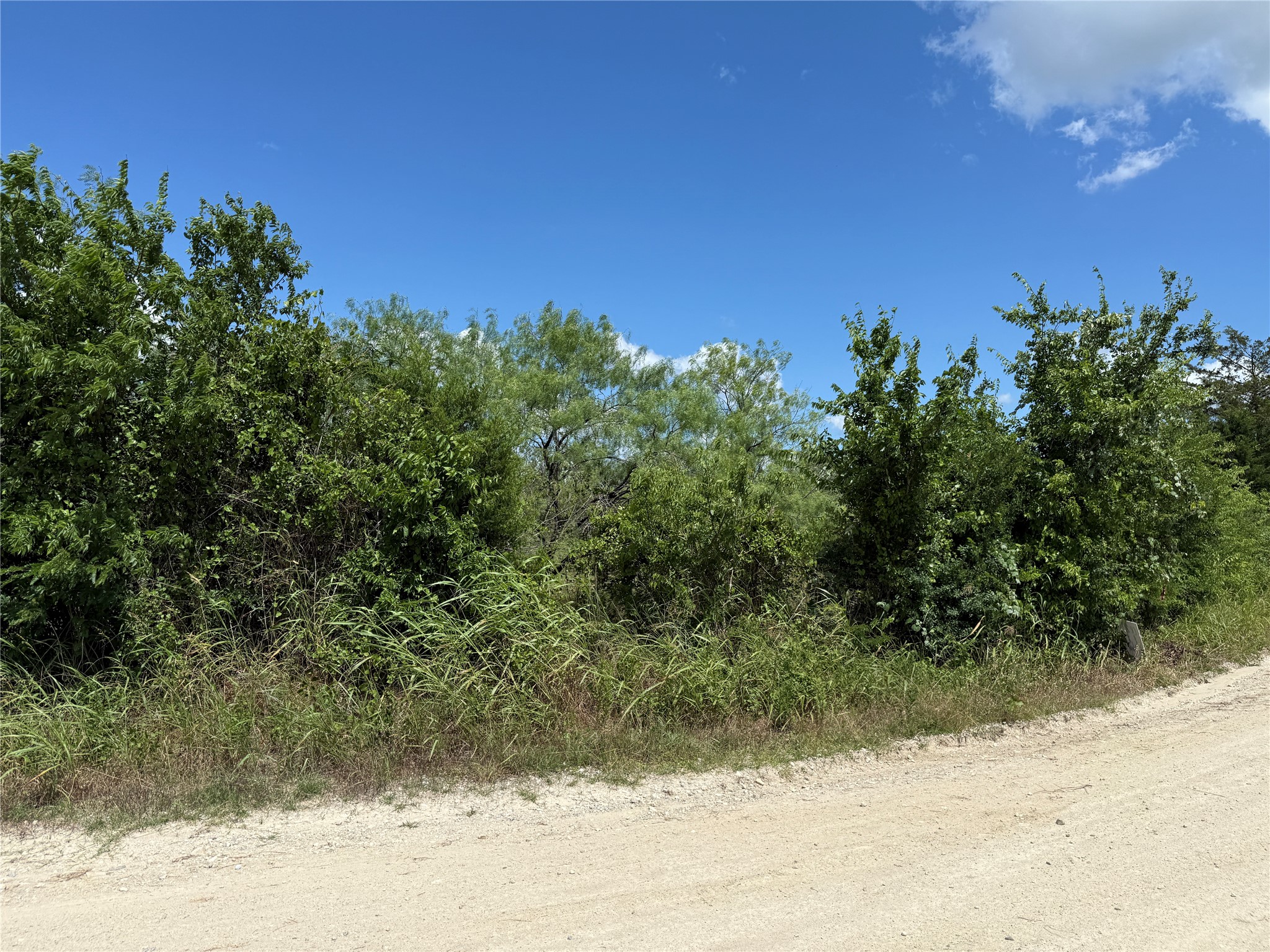 Tbd 4 Acres SW Cr 2170 Richland TX 76681