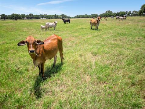 198 Private Road 1648 Road Chico TX 76431