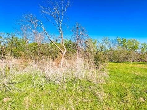 1007 S Belknap Street Mexia TX 76667