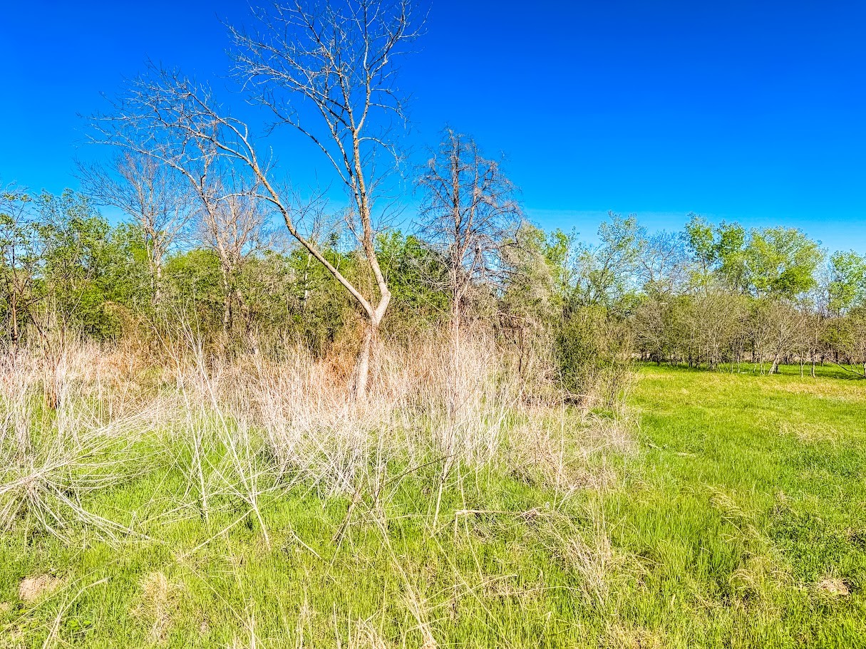1007 S Belknap Street Mexia TX 76667