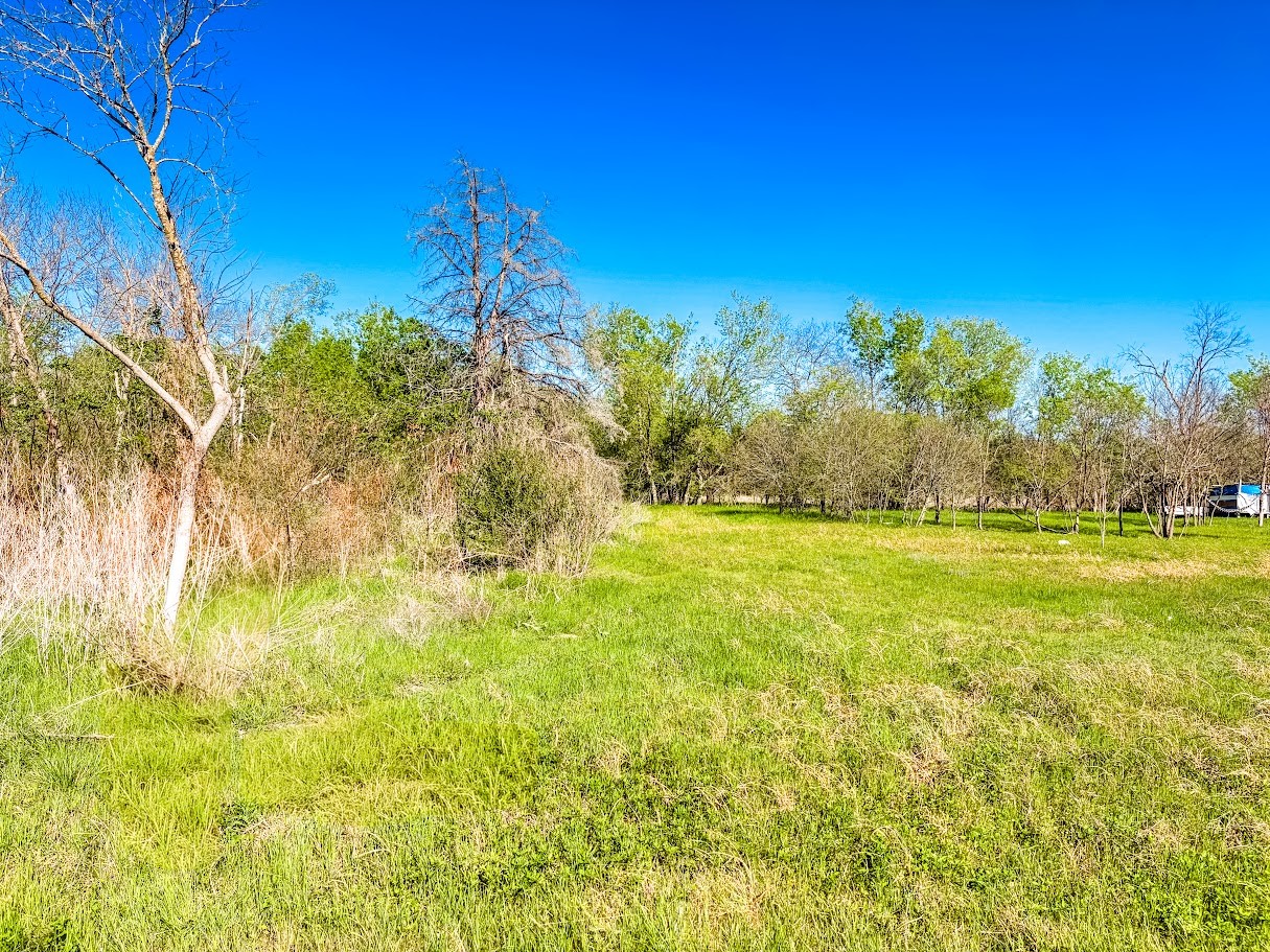 1007 S Belknap Street Mexia TX 76667