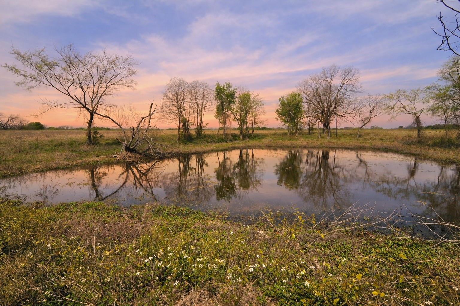 Lot 95 Stillwater Shores Drive Corsicana TX 75109