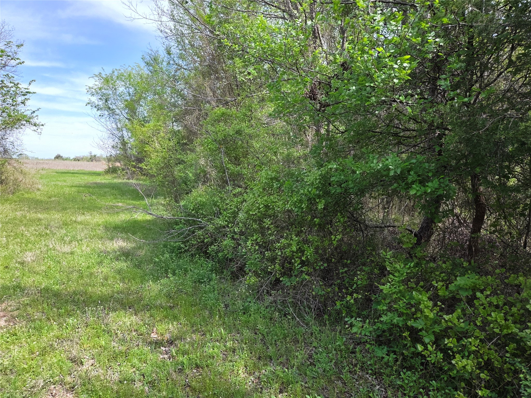 Lot 95 Stillwater Shores Drive Corsicana TX 75109