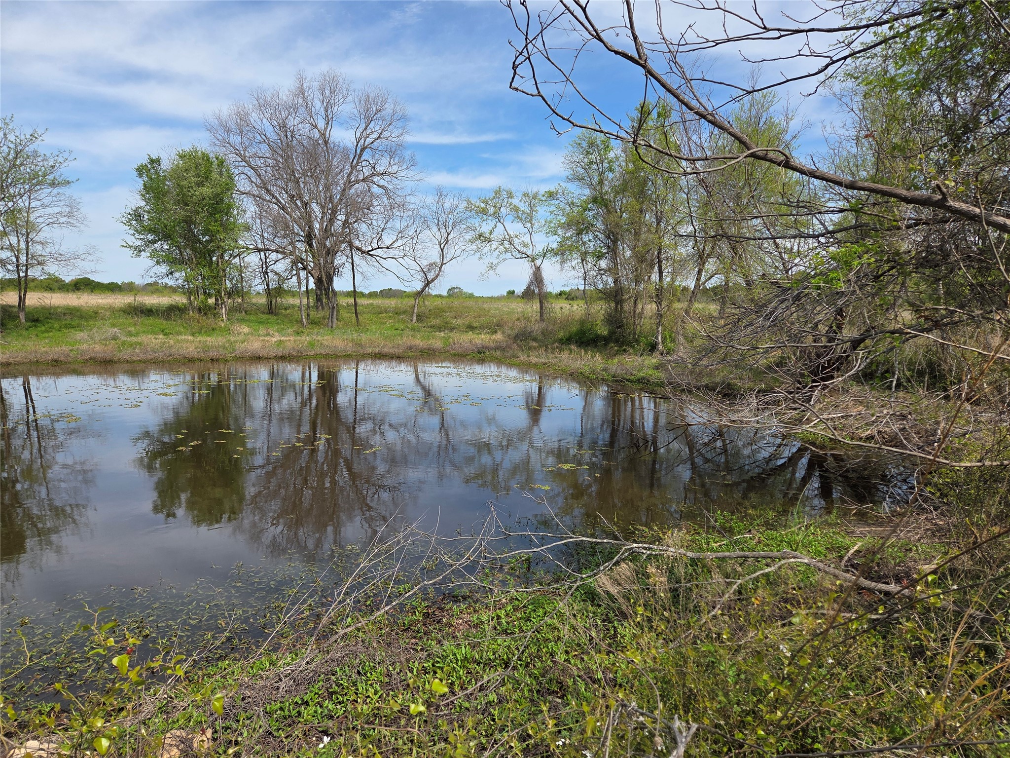 Lot 95 Stillwater Shores Drive Corsicana TX 75109