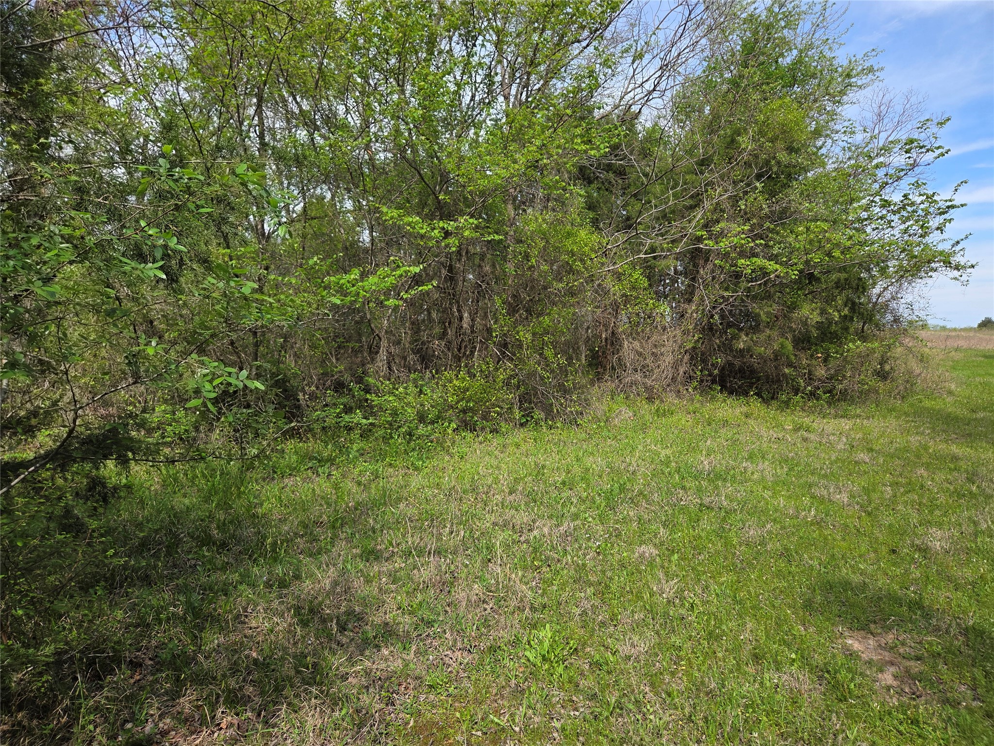 Lot 95 Stillwater Shores Drive Corsicana TX 75109