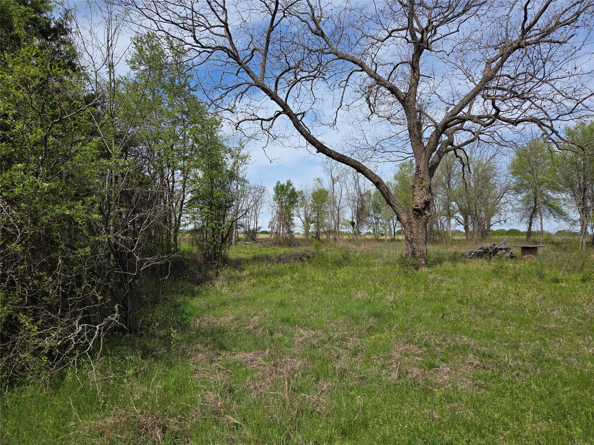 Lot 95 Stillwater Shores Drive Corsicana TX 75109