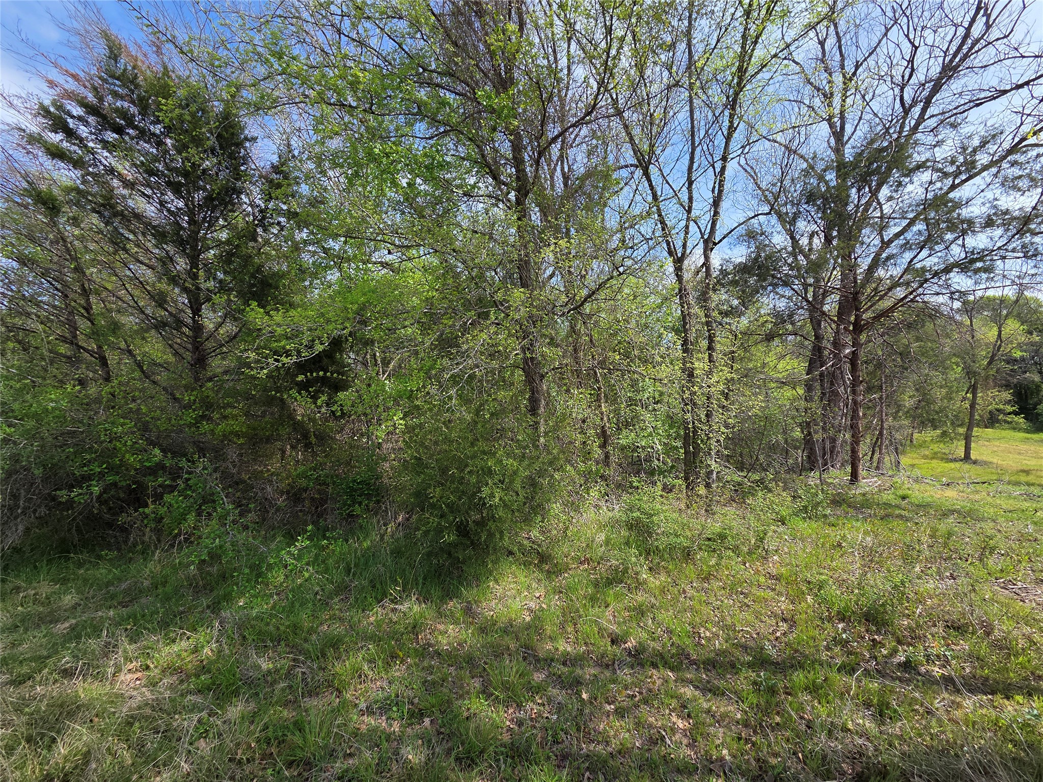 Lot 95 Stillwater Shores Drive Corsicana TX 75109