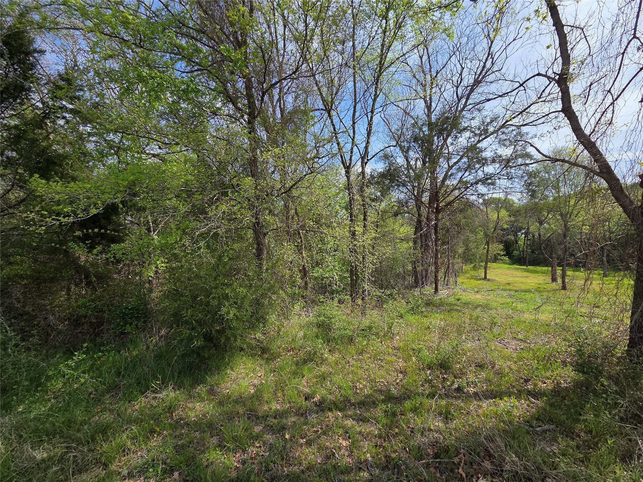 Lot 95 Stillwater Shores Drive Corsicana TX 75109