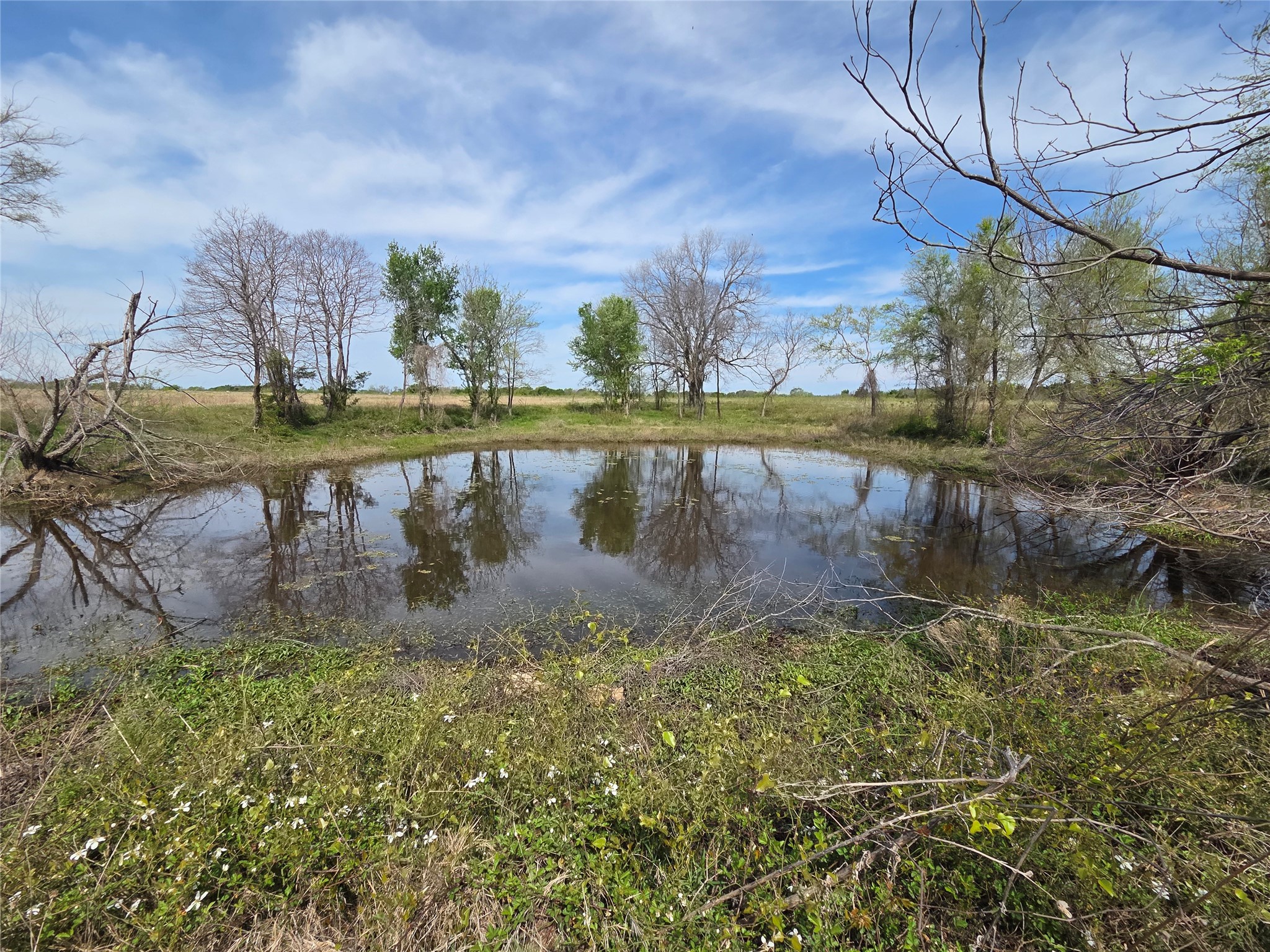 Lot 95 Stillwater Shores Drive Corsicana TX 75109