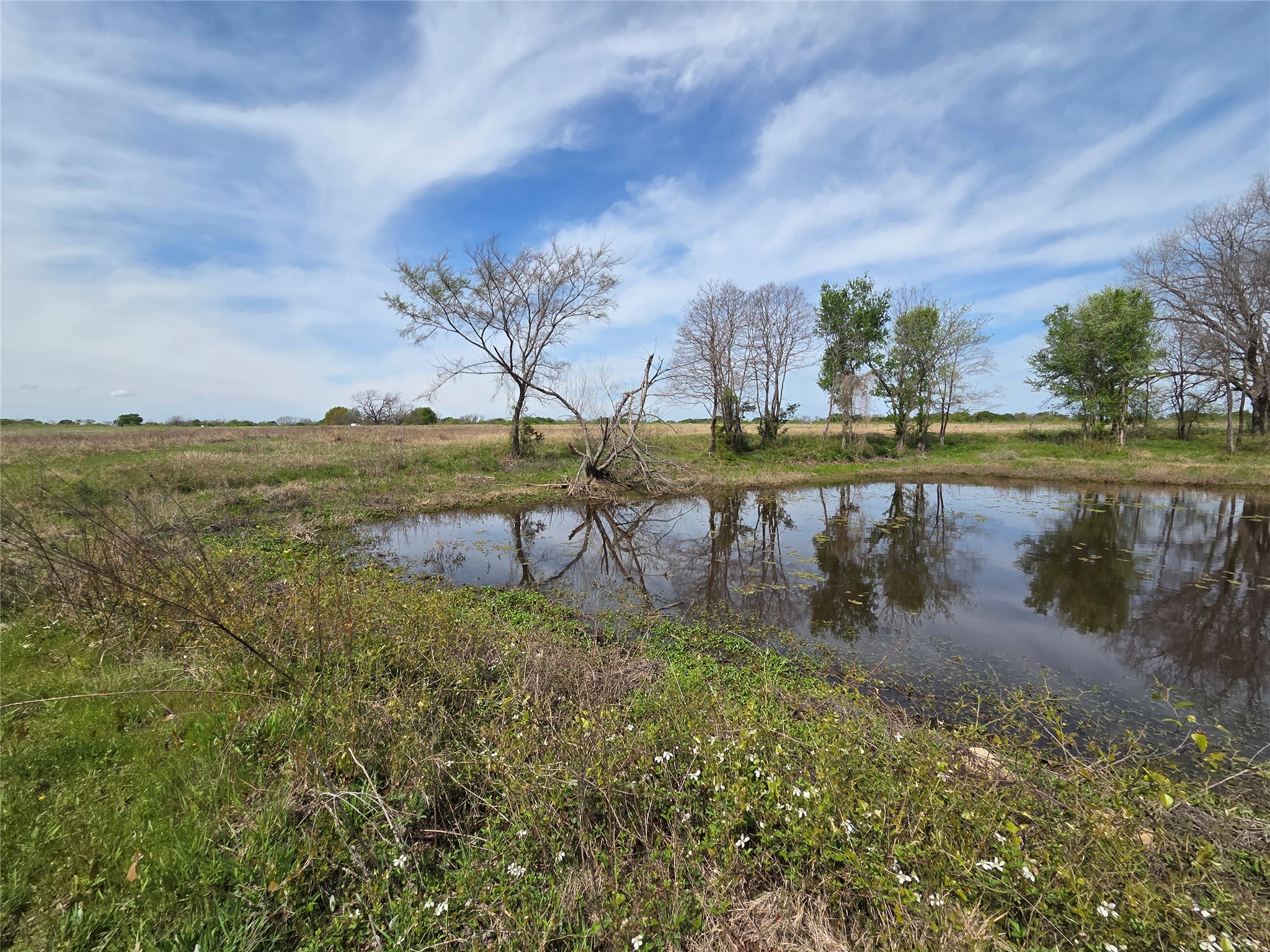 Lot 95 Stillwater Shores Drive Corsicana TX 75109